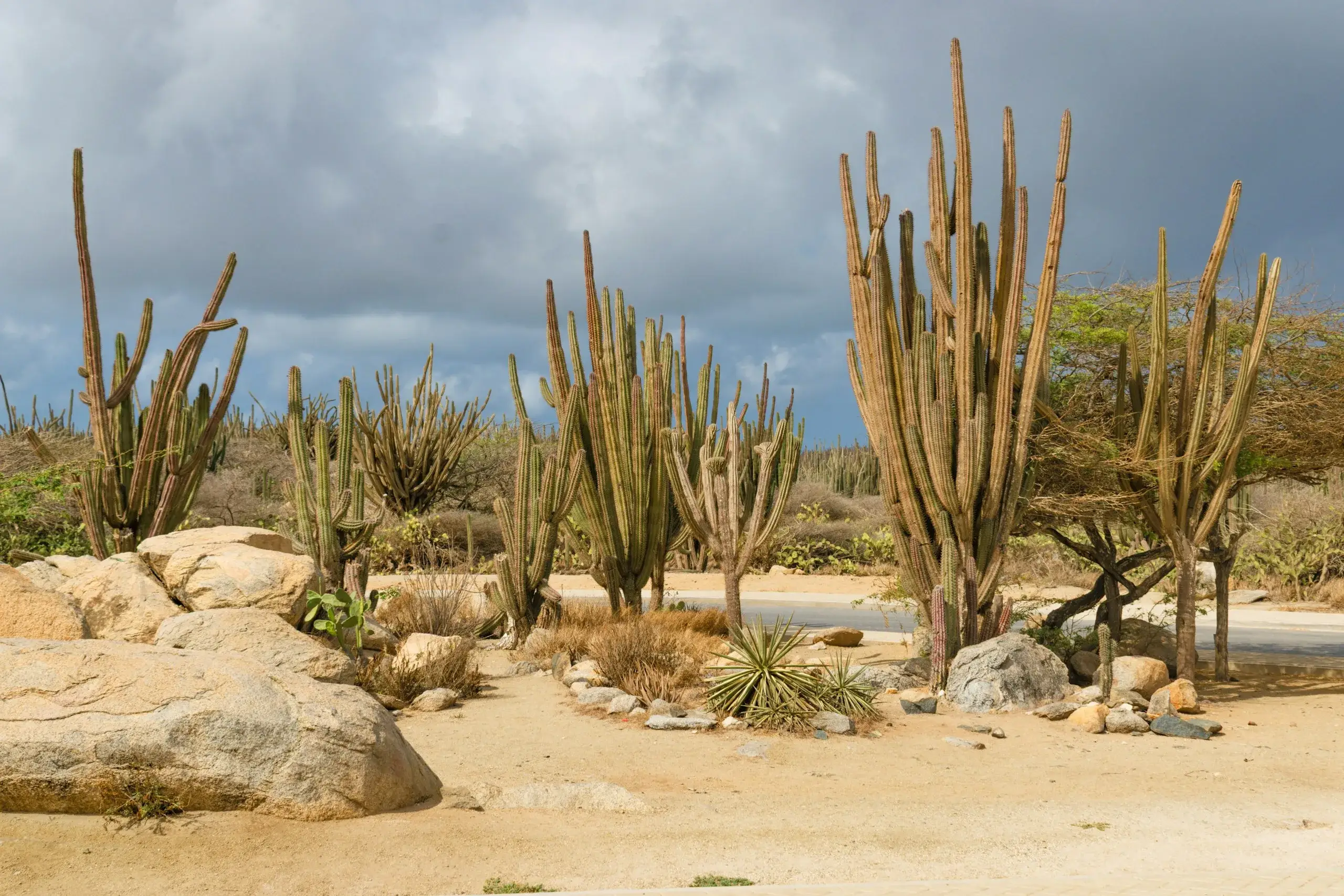 Arikok National Park Jeep Safari