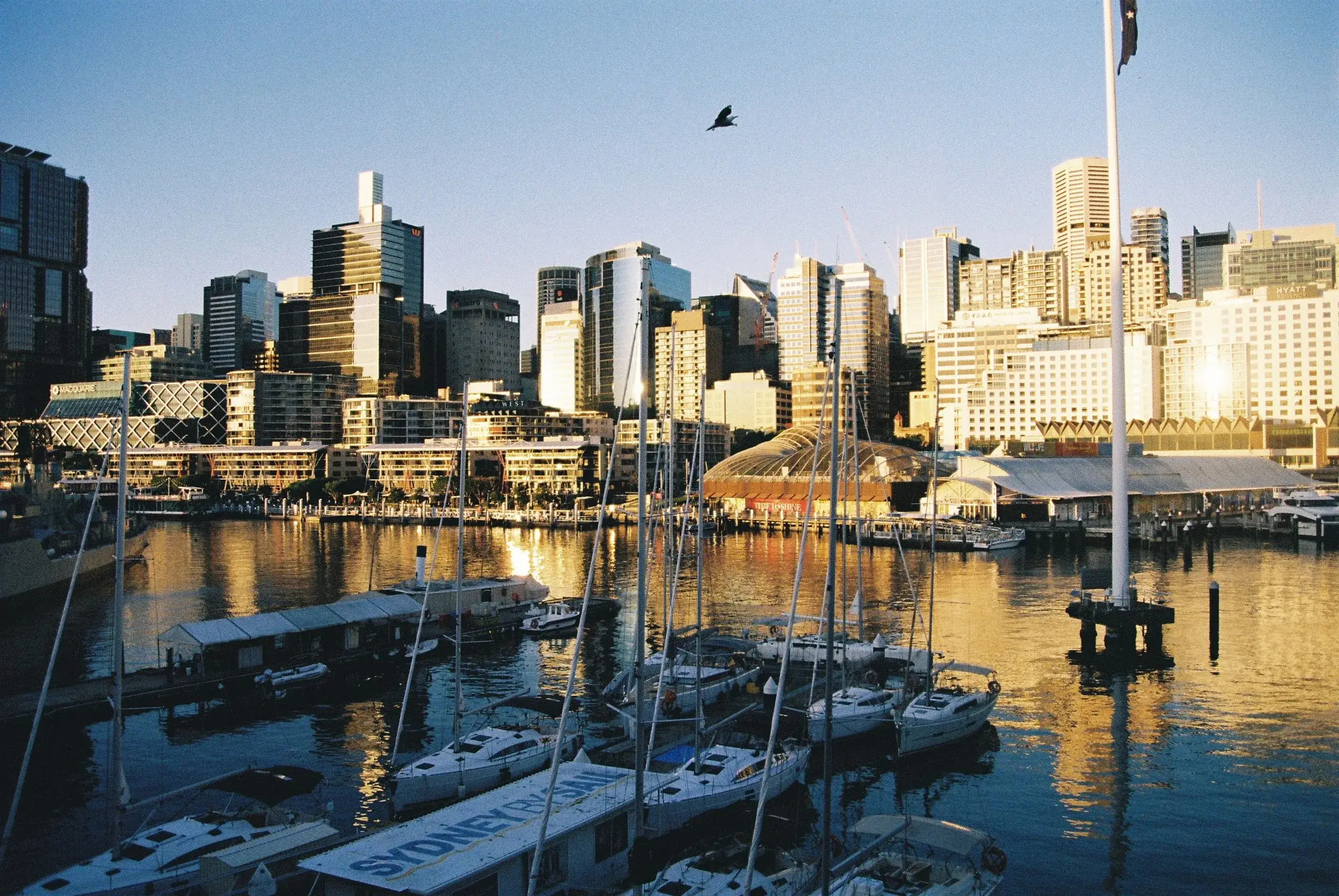 Surry Hills & Darling Harbour