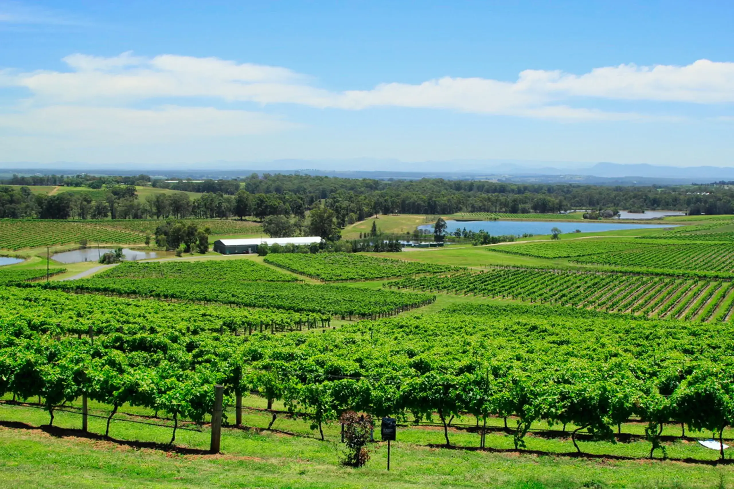 Hunter Valley Wine Country