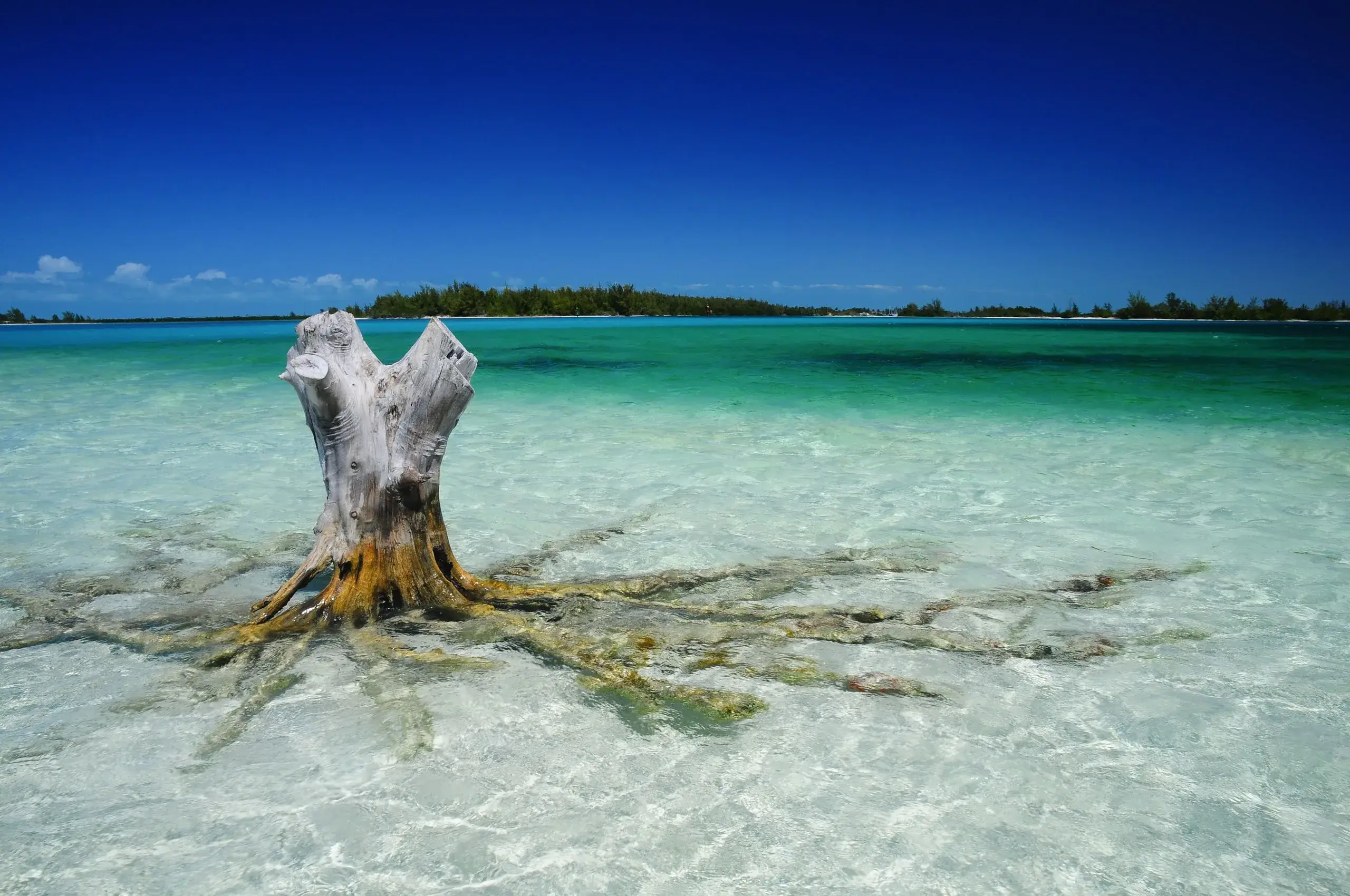 Lucayan National Park & Gold Rock Beach
