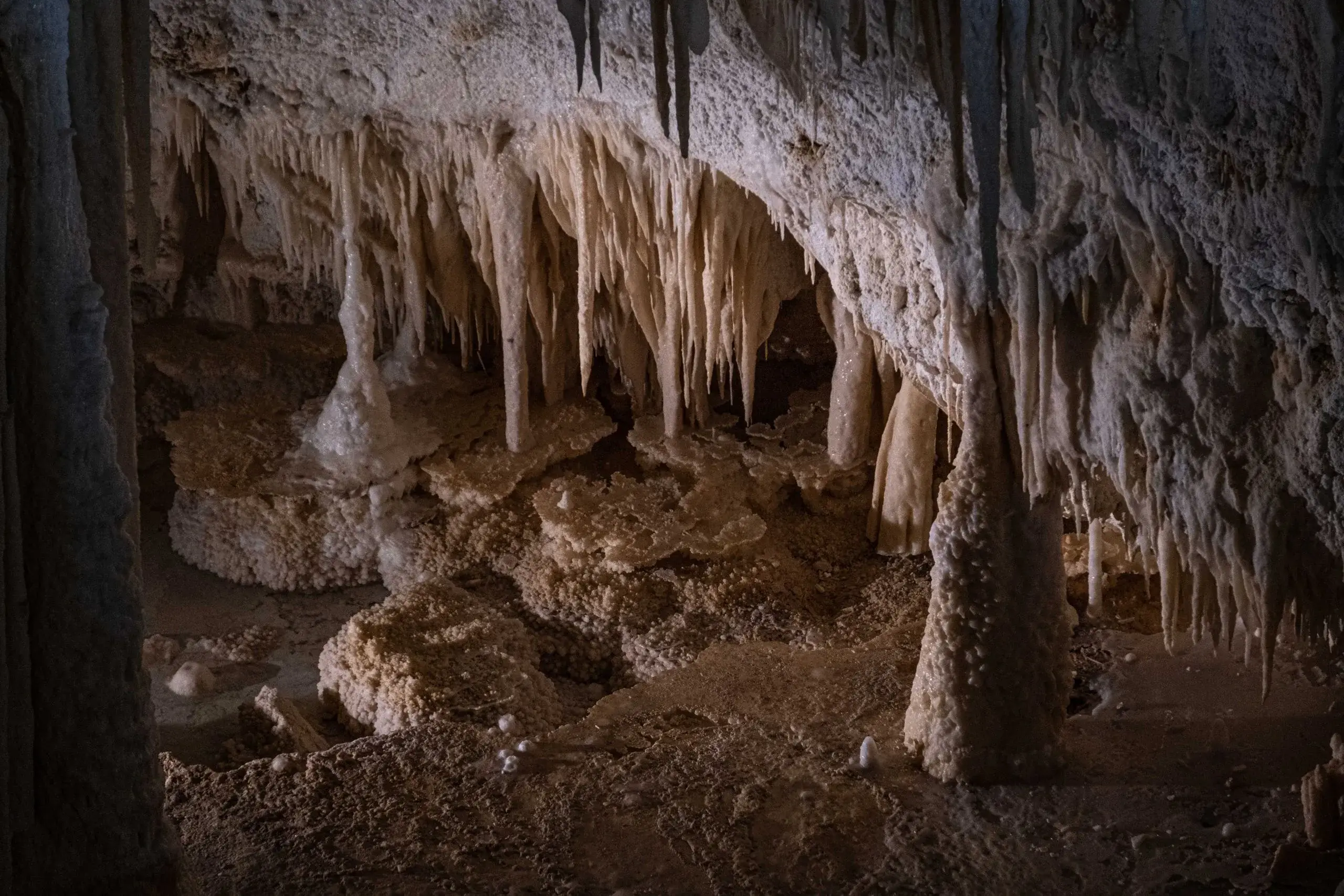 Éco-aventure à Harrison's Cave