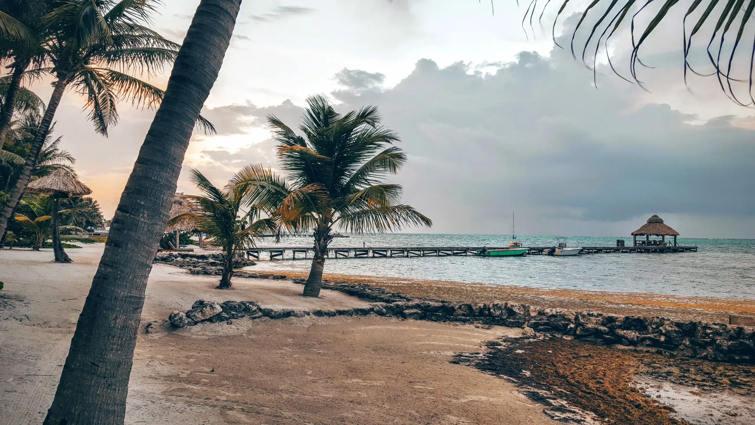 Palm trees on the beach and a wooden pier with a thatched palapa in San Pedro