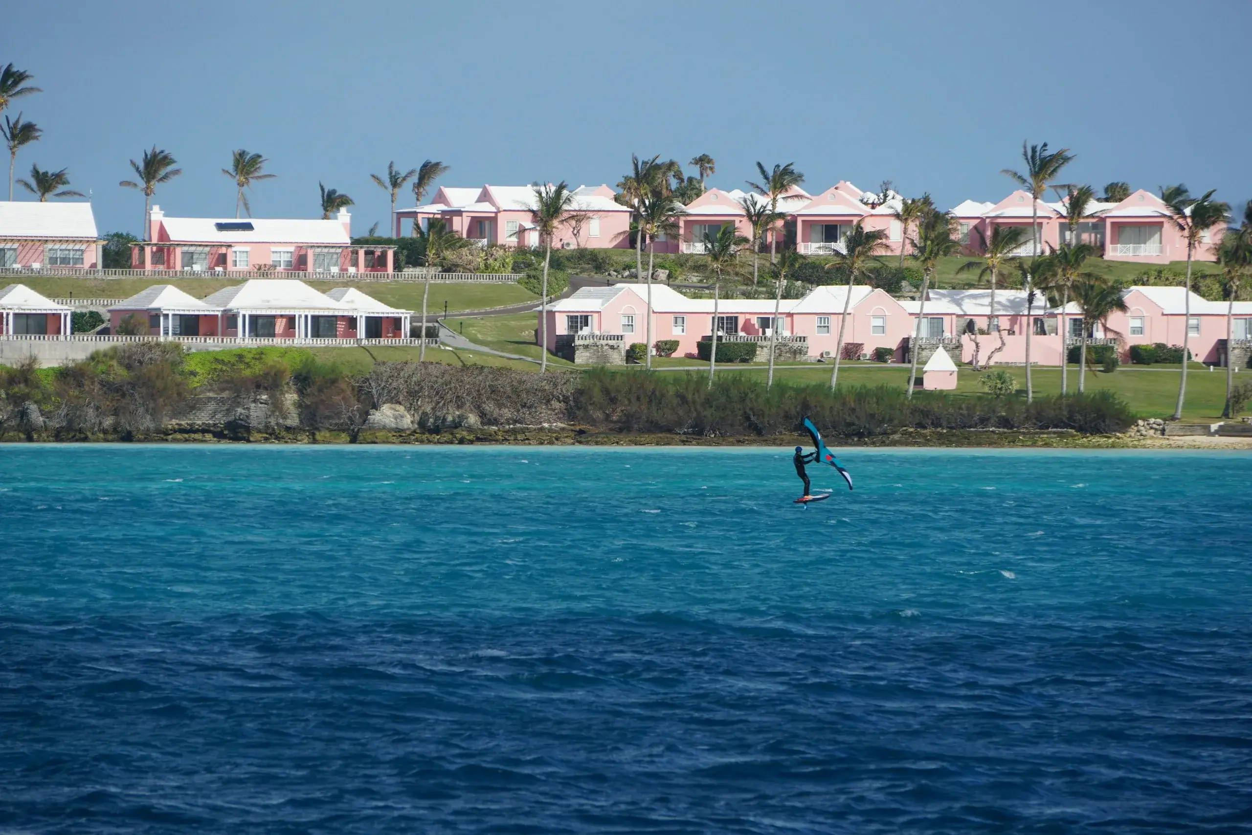 Pink cottages and palms above blue water in Bermuda, with a windsurfer offshore