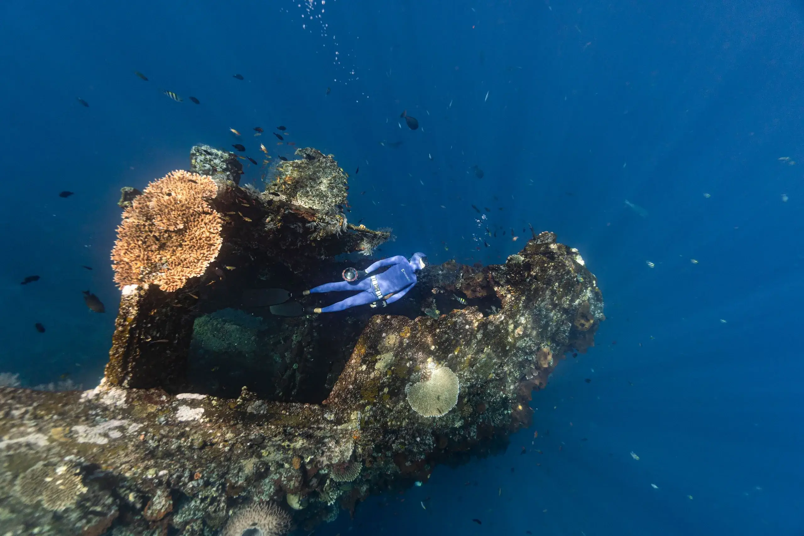 Reef & Shipwreck Snorkel