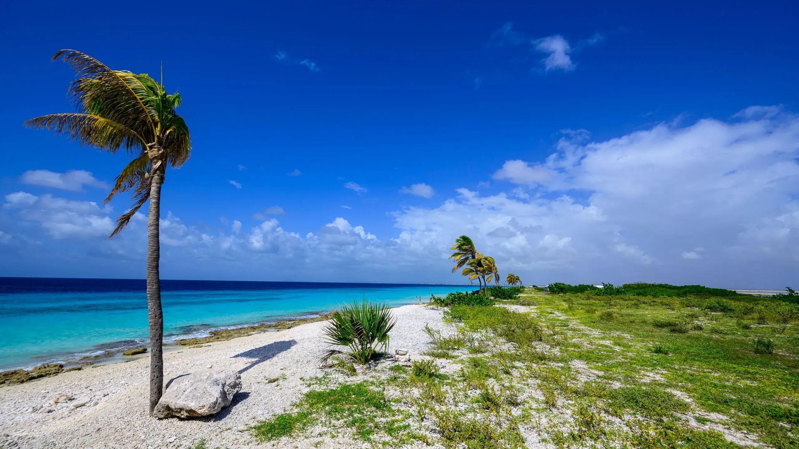 Klein Bonaire & No Name Beach