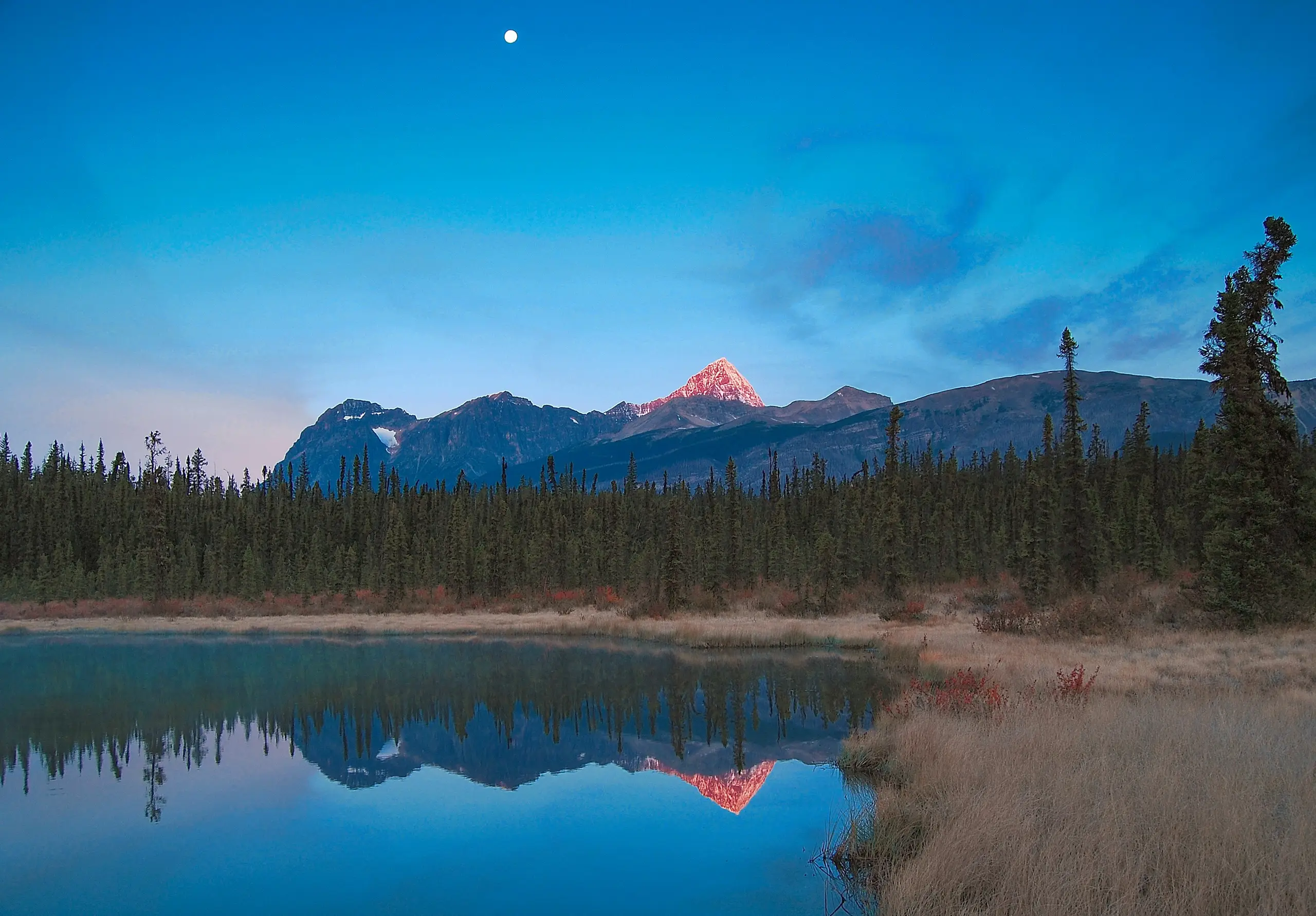 Moonrise over an alpenglow-lit peak mirrored in a still lake at dusk, Jasper, Alberta