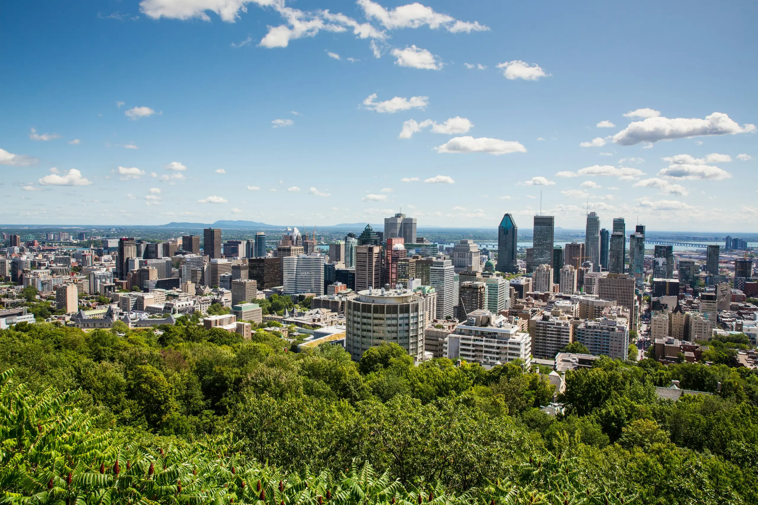 The downtown Montreal skyline viewed over the trees of Mount Royal on a clear summer day
