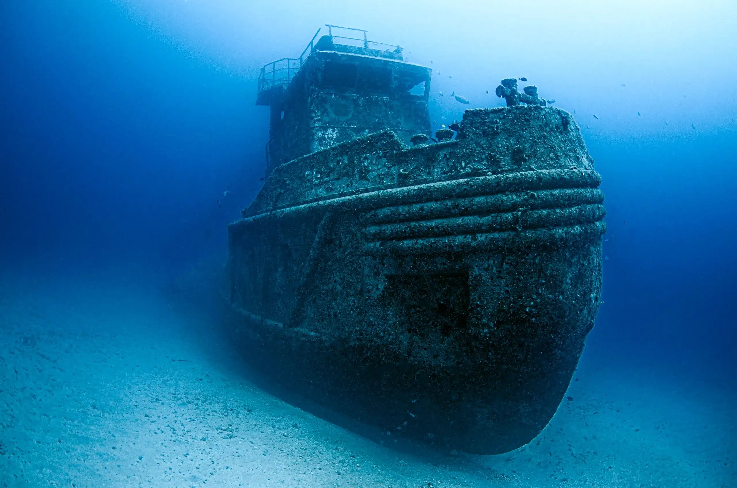 Kittiwake Wreck & Coral Gardens