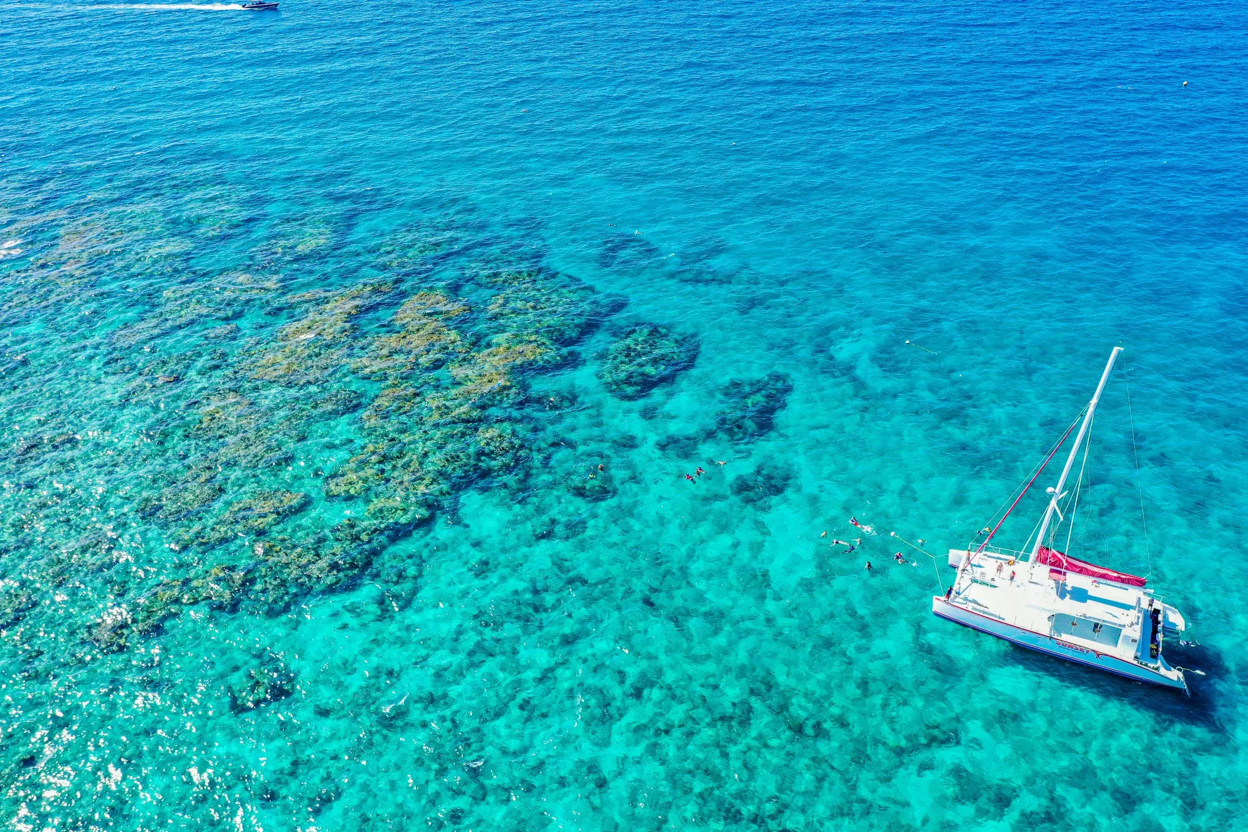 Los Sueños Catamaran & Snorkel