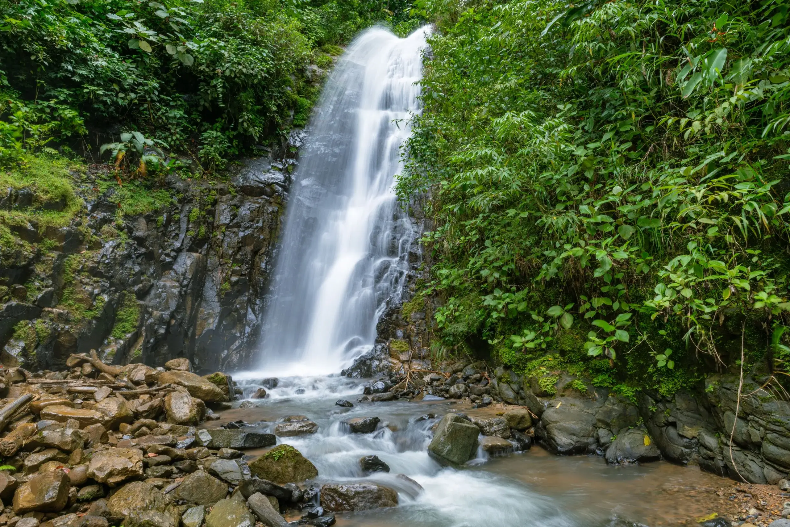 Rainforest Zip-line & Waterfall ATV
