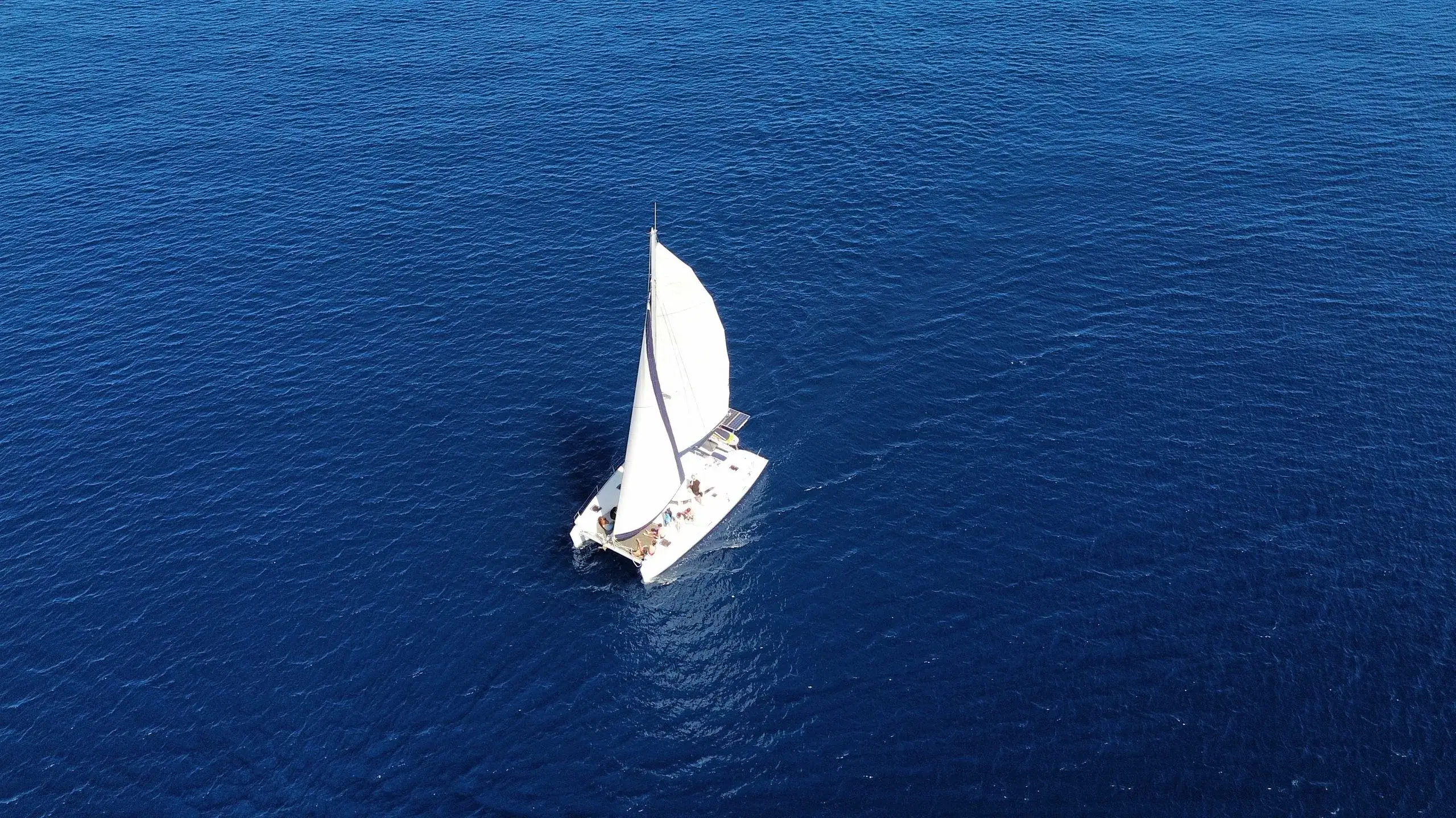 Catamaran Sail & Snorkel