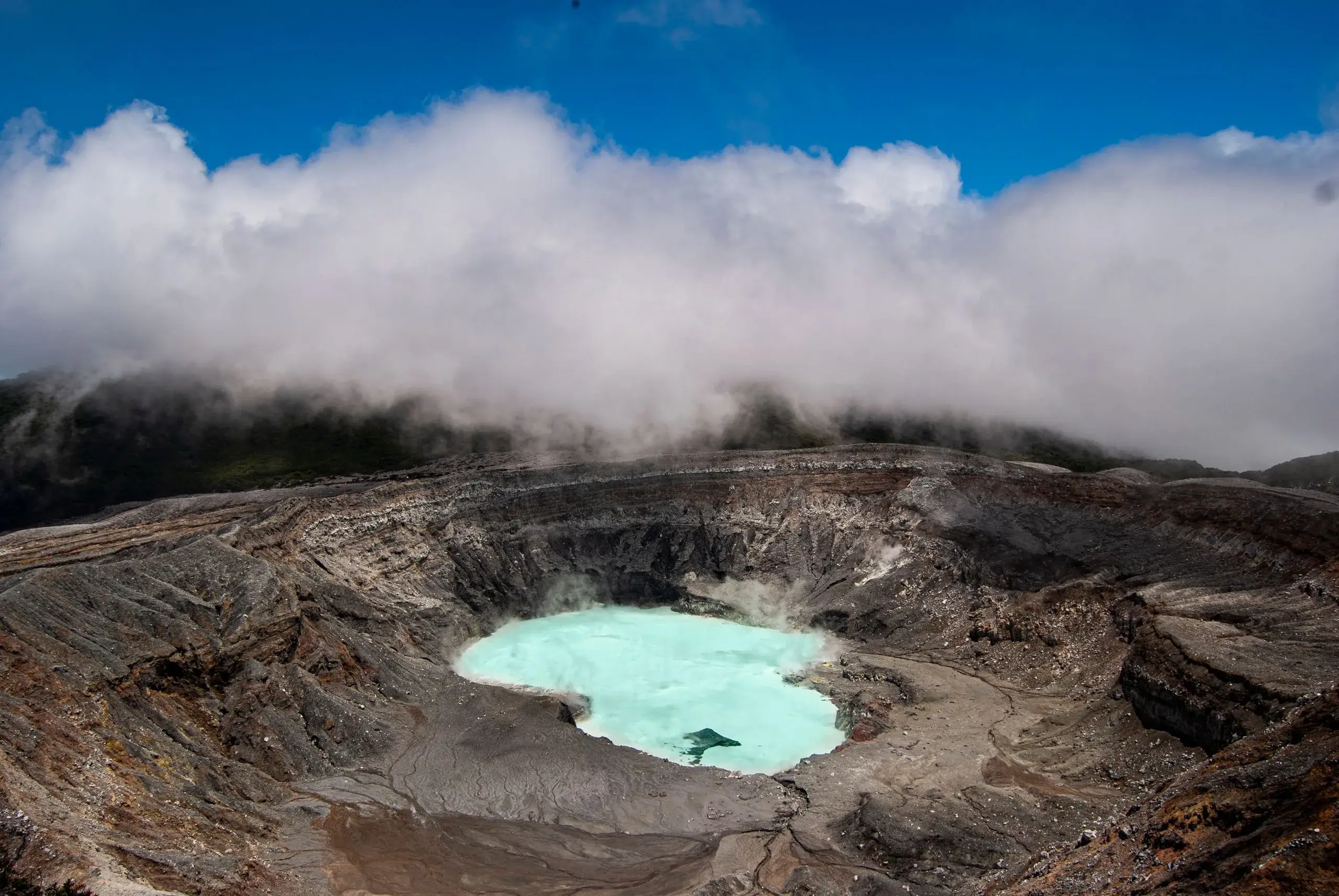 Poás Volcano & Waterfall Gardens