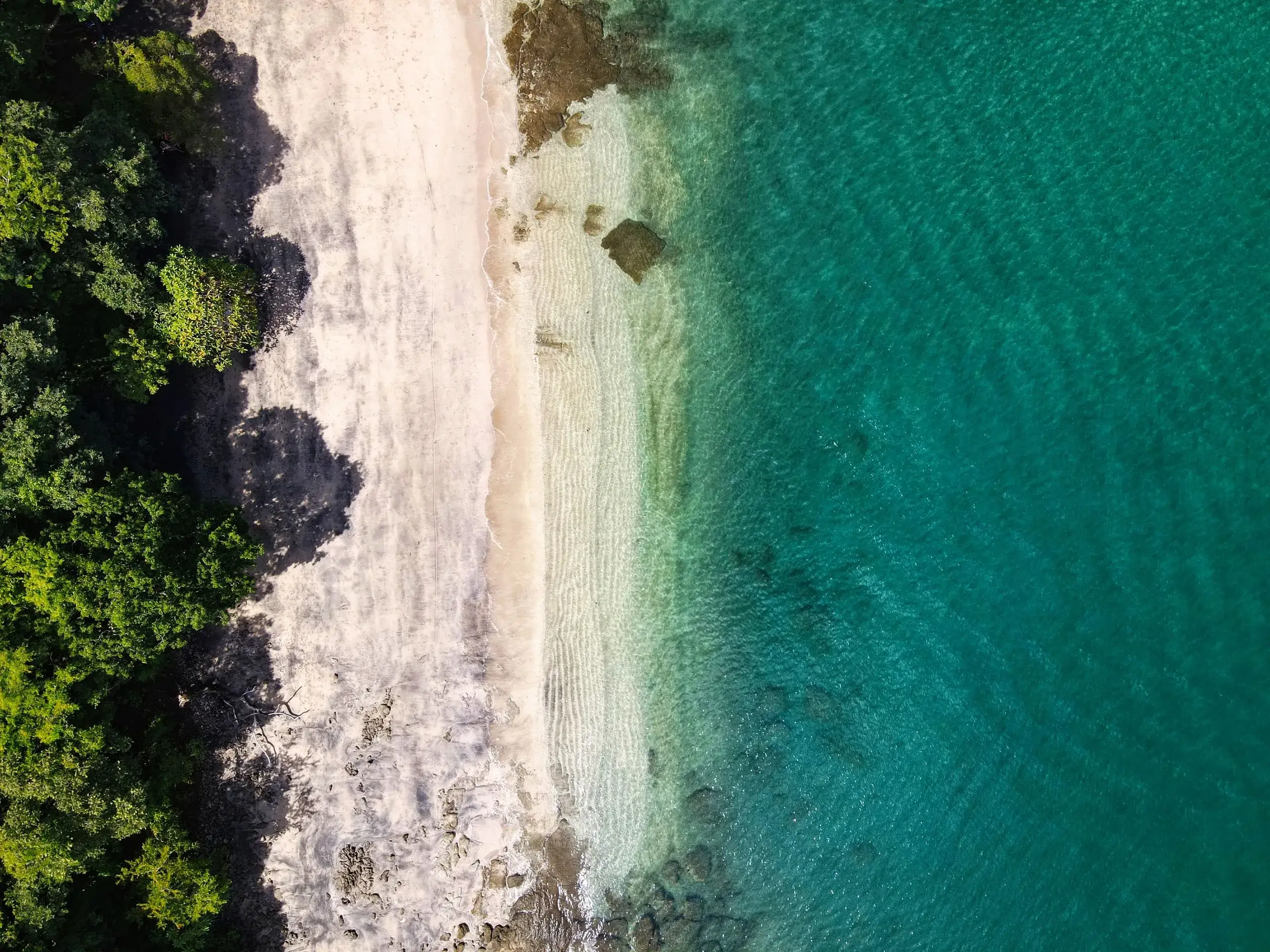 Playa Conchal & Flamingo Beach Day