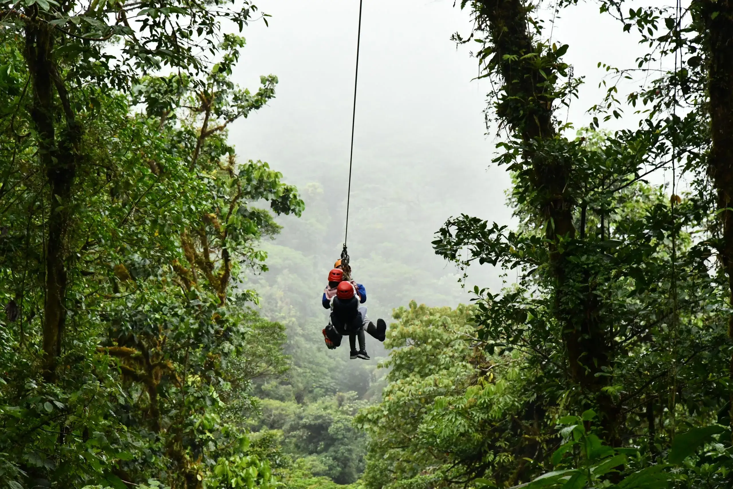 Monteverde Cloud Forest