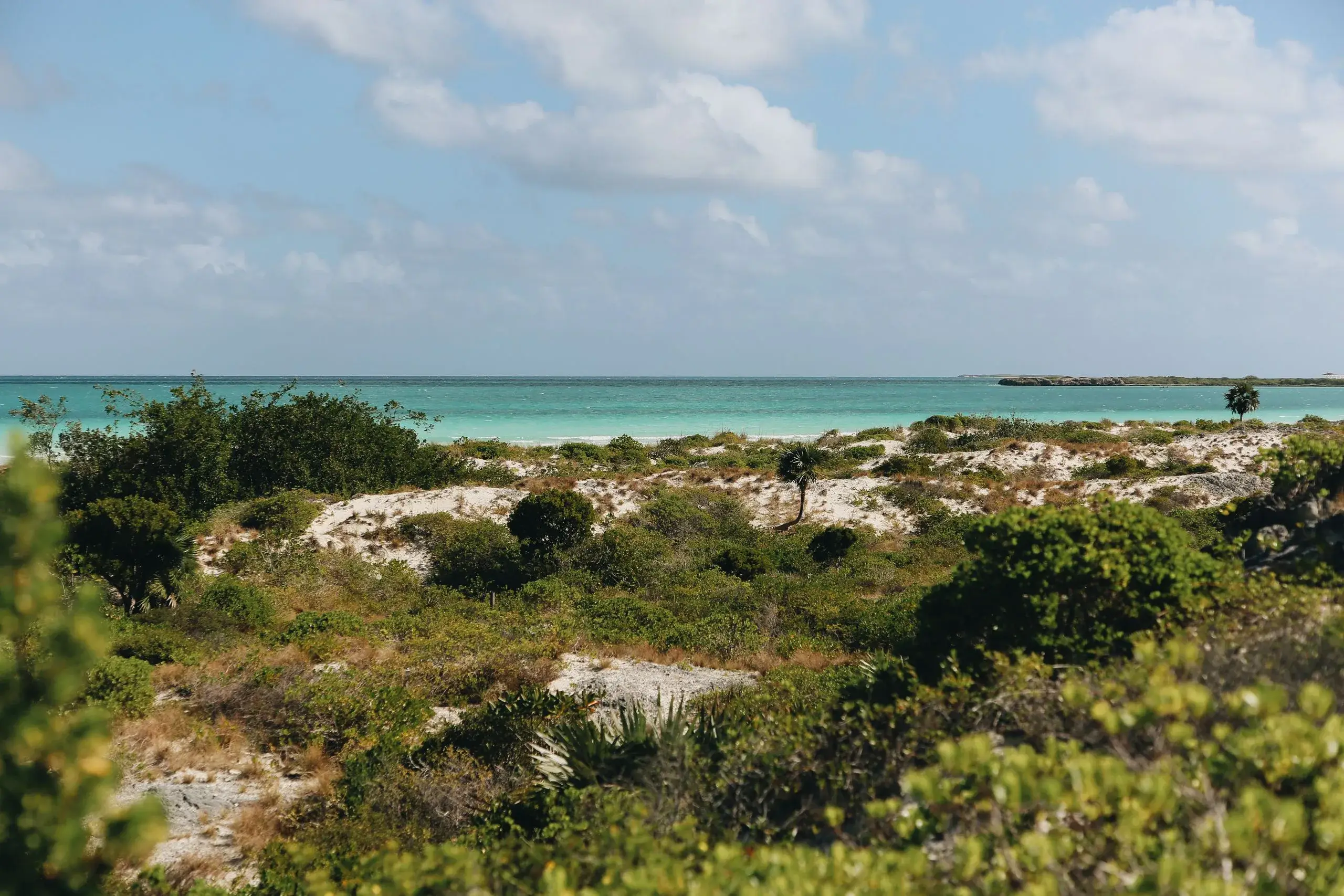 Loma de Cunagua Nature Reserve