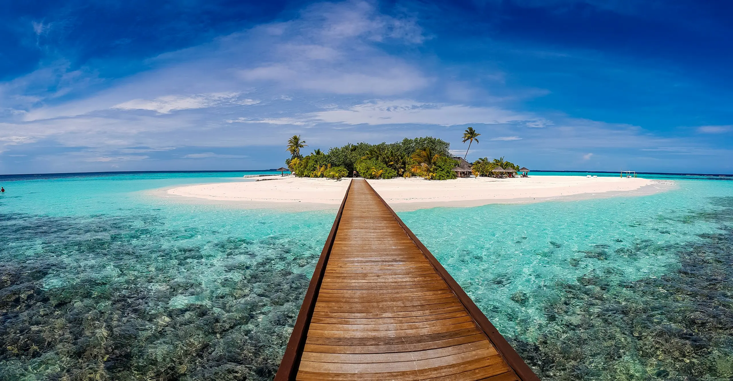 A wooden jetty leading to a small palm-covered island in turquoise water