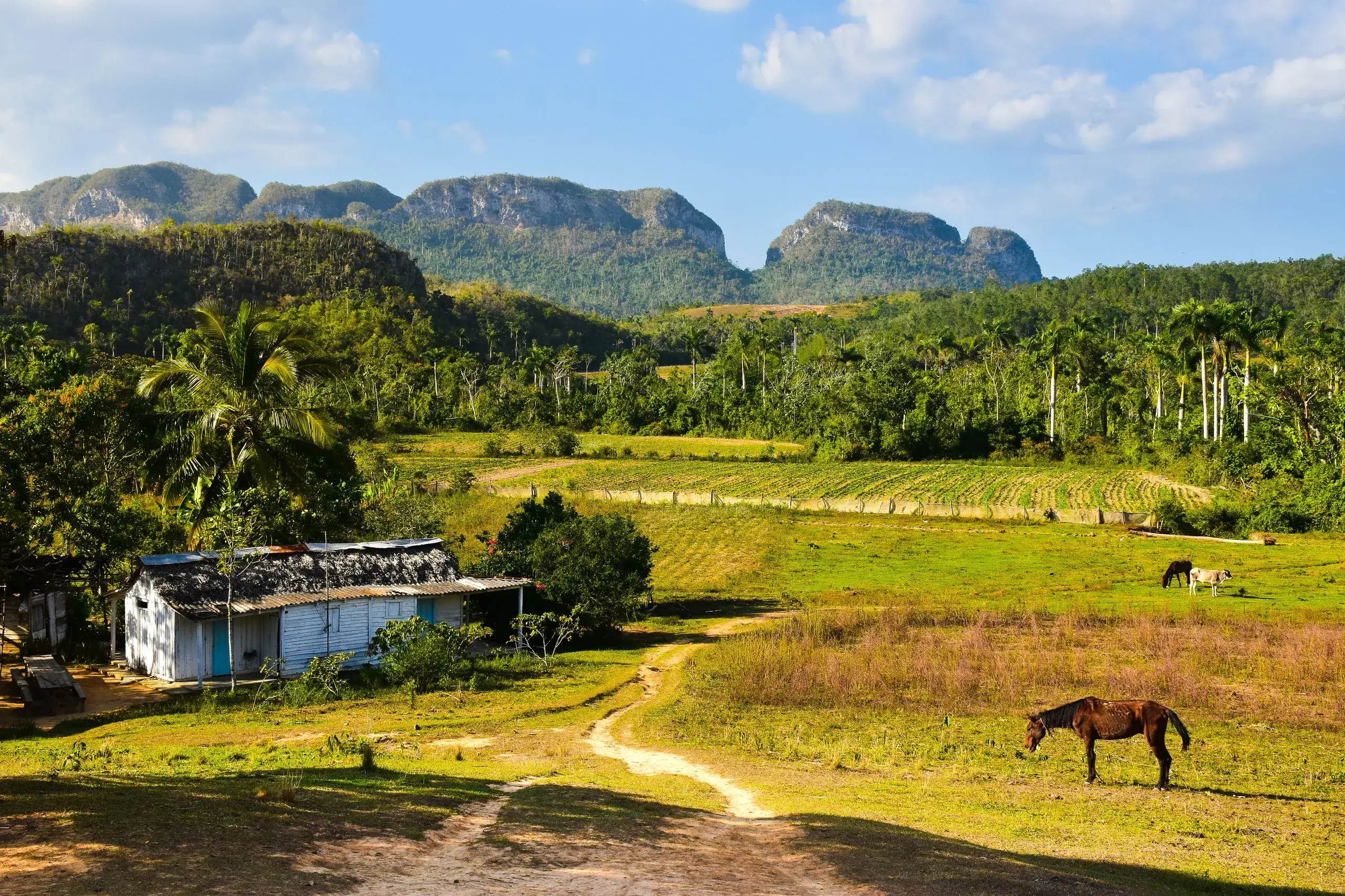 Birán — Finca Manacas