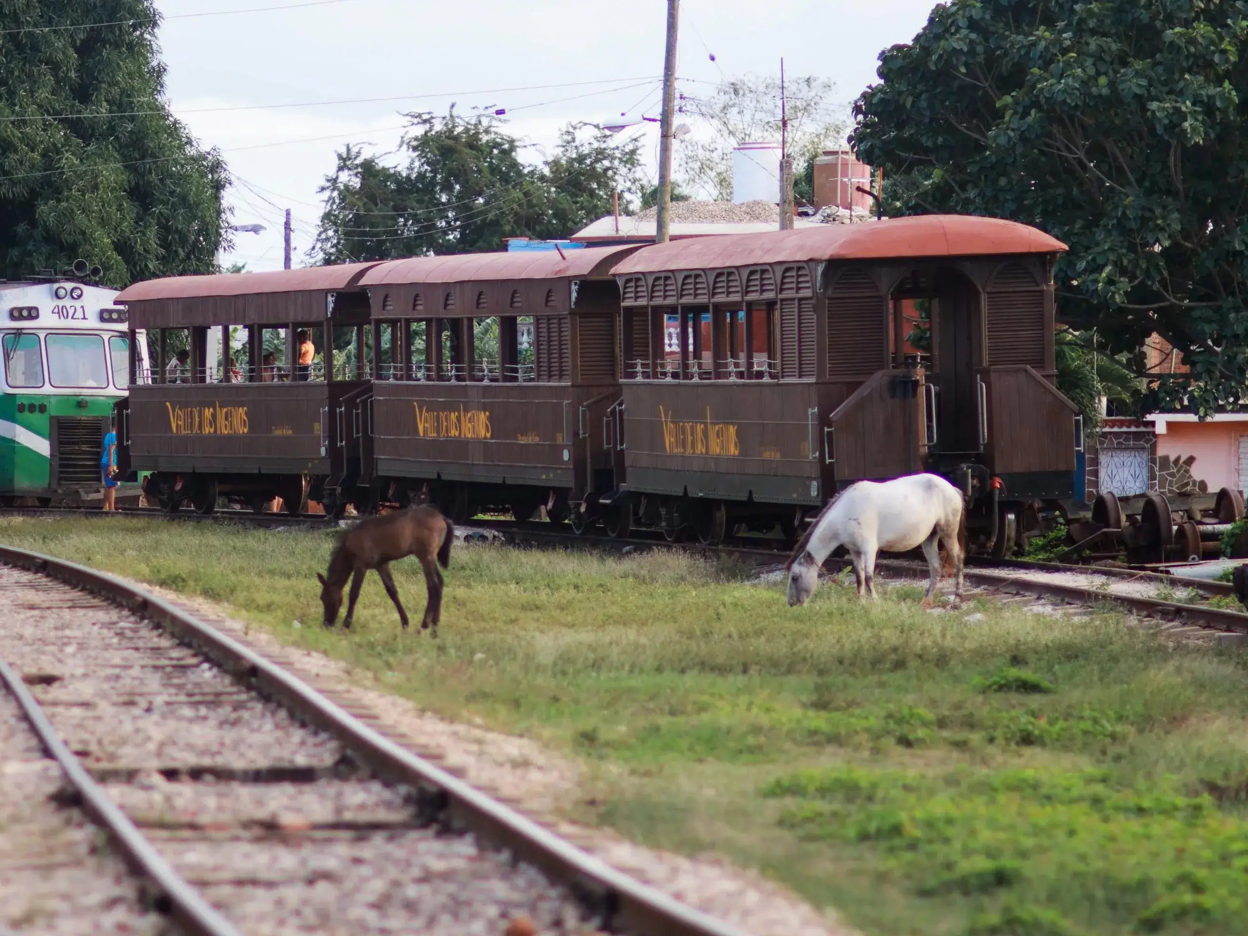 Valle de los Ingenios Heritage Train