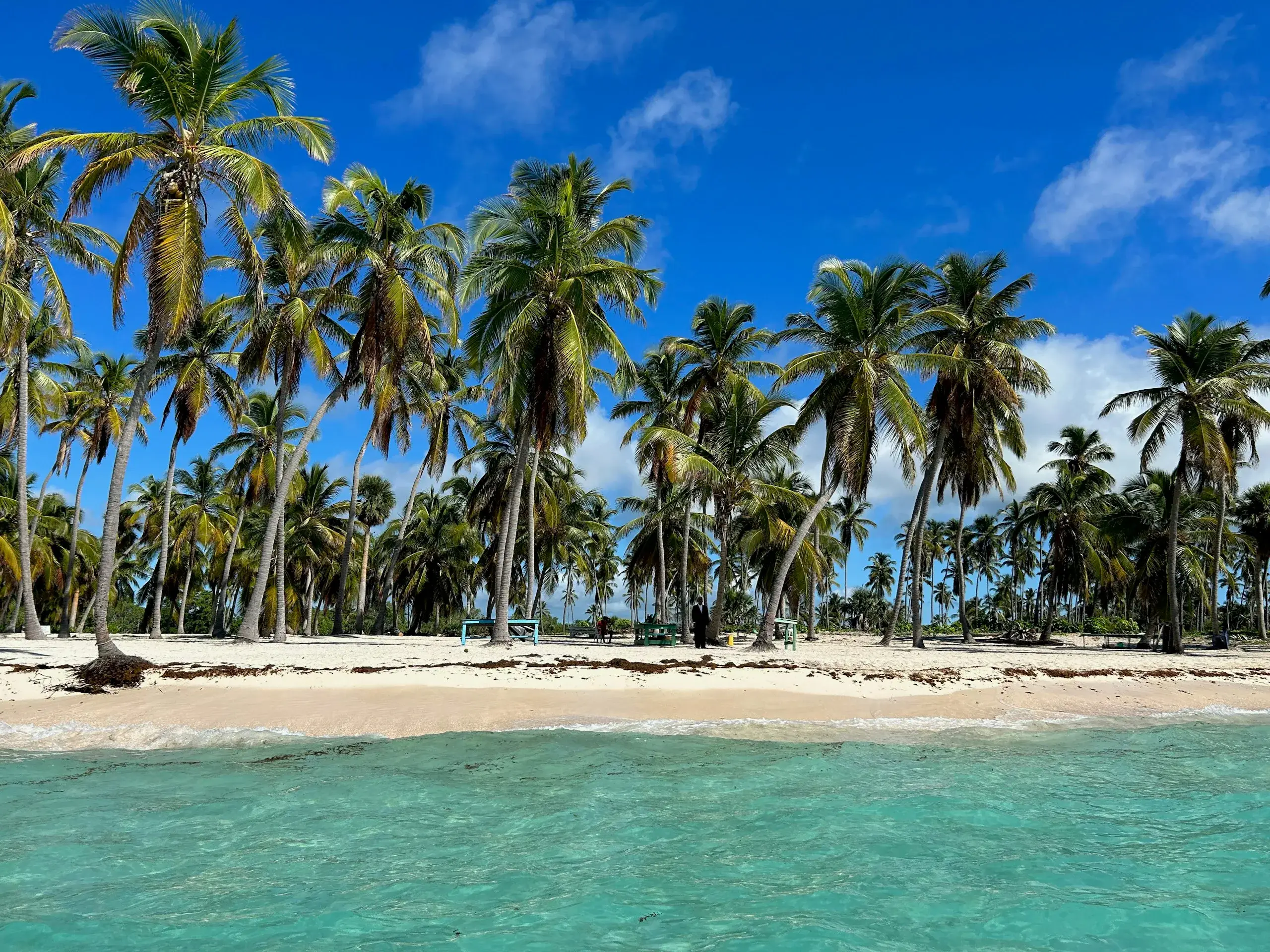 Île Saona