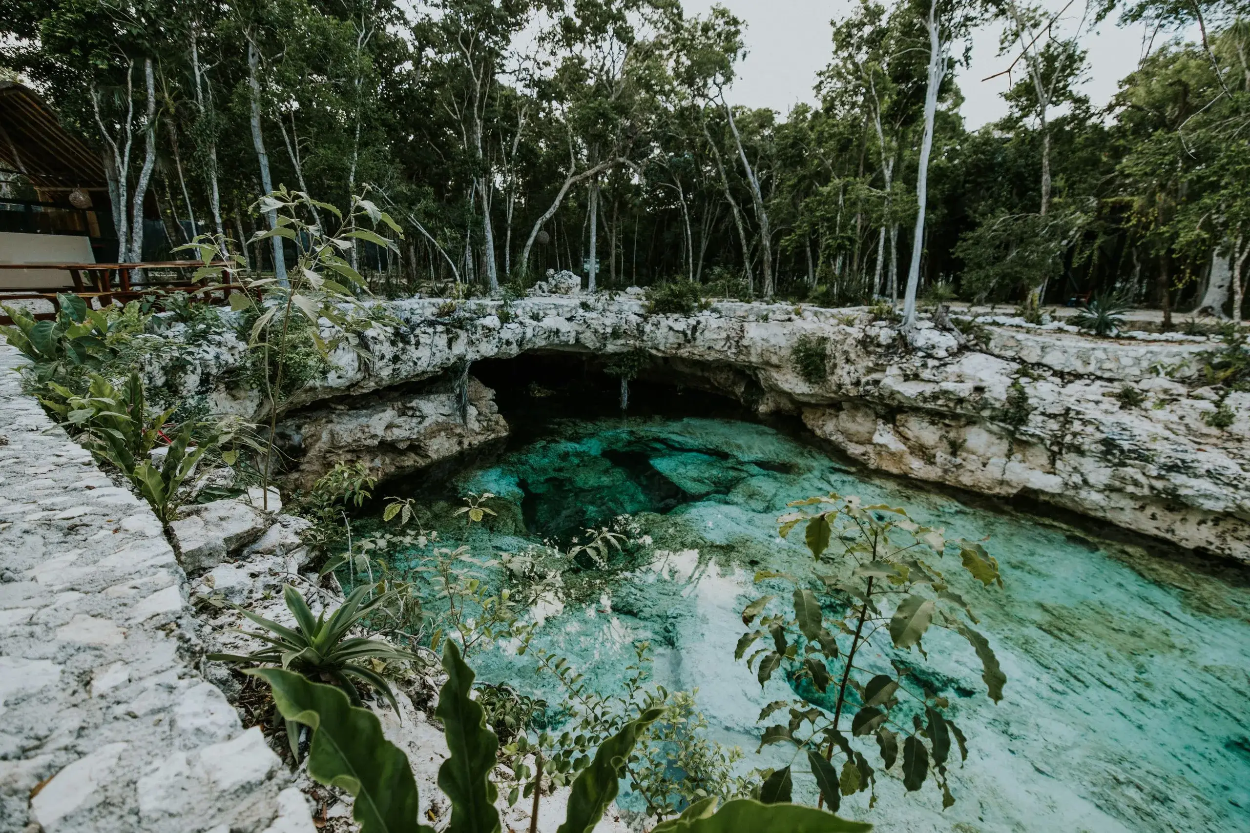 Hoyo Azul Cenote