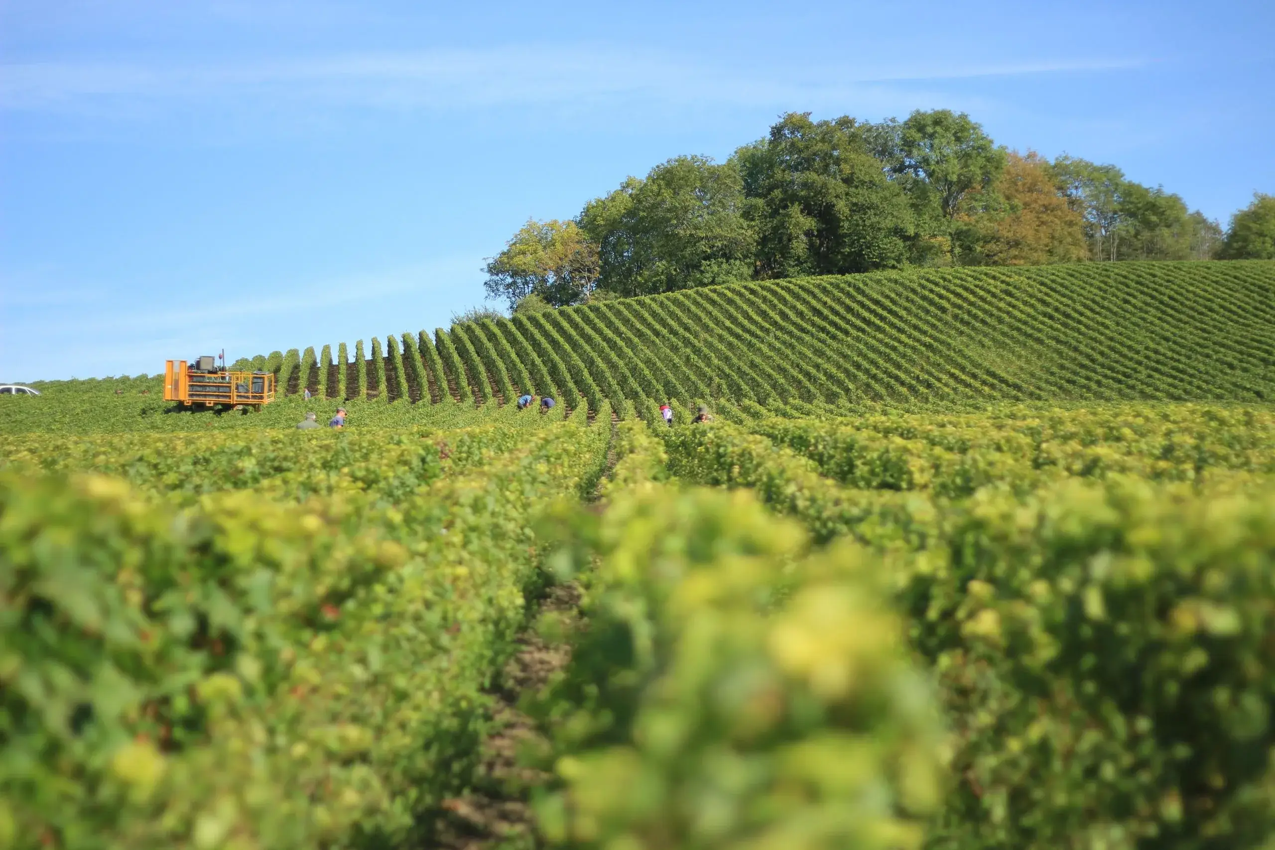 Champagne Region — Reims & Épernay