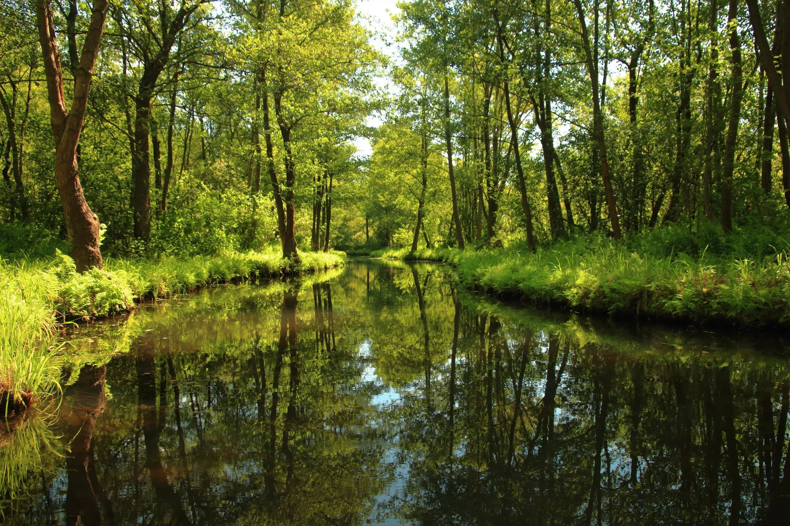 Spreewald Boat Tour