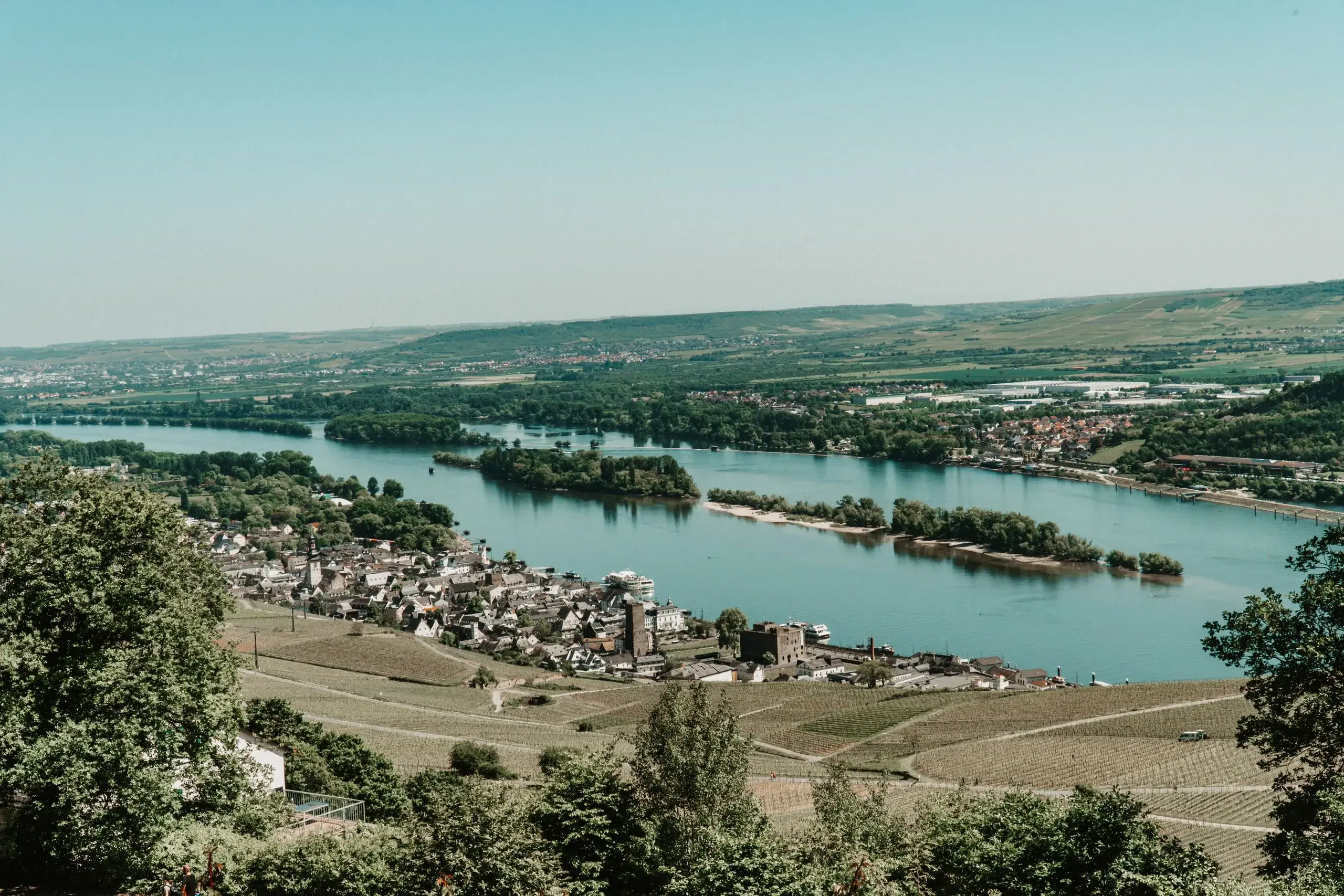Rhine Valley & Rüdesheim Cruise