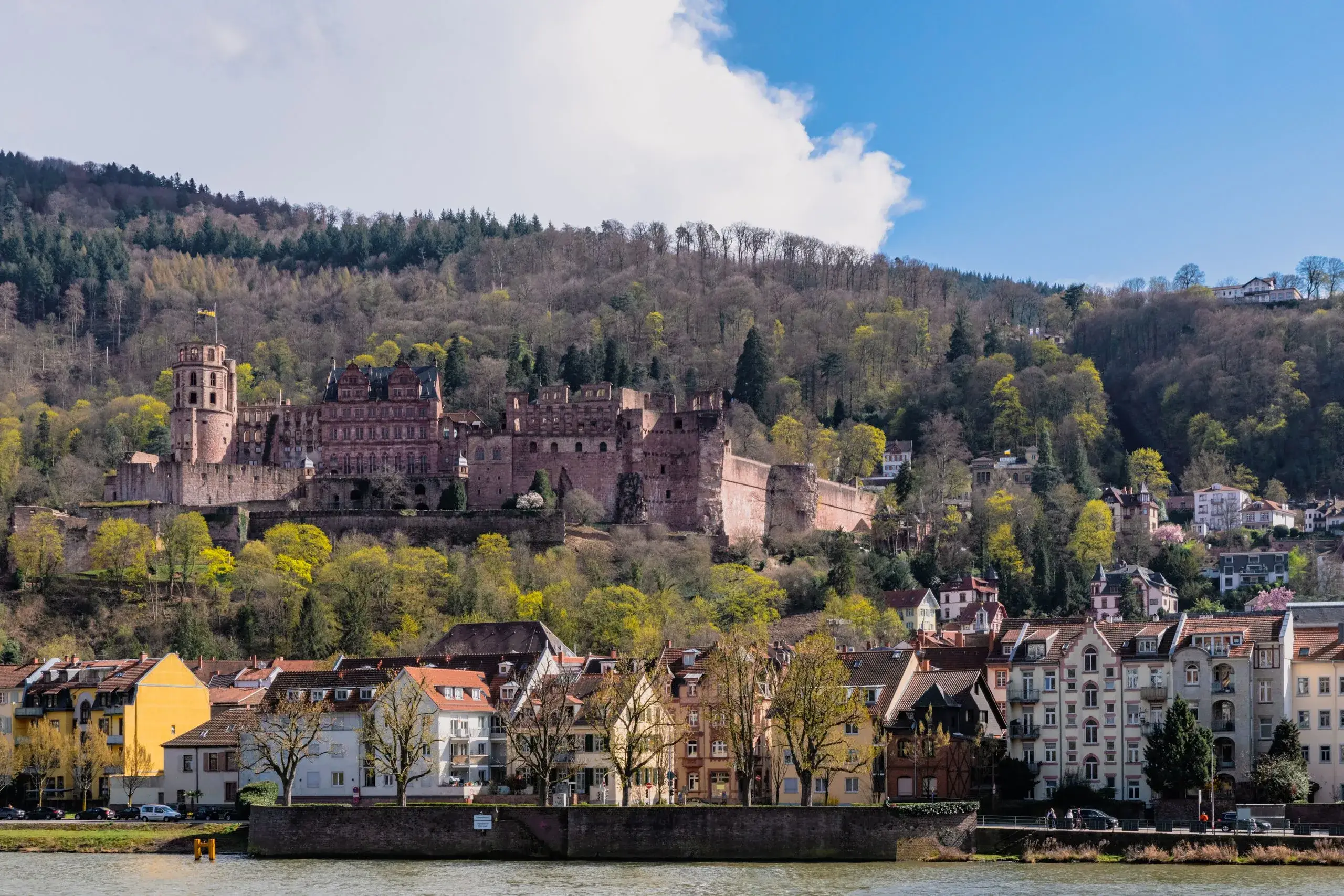 Heidelberg Old Town & Castle