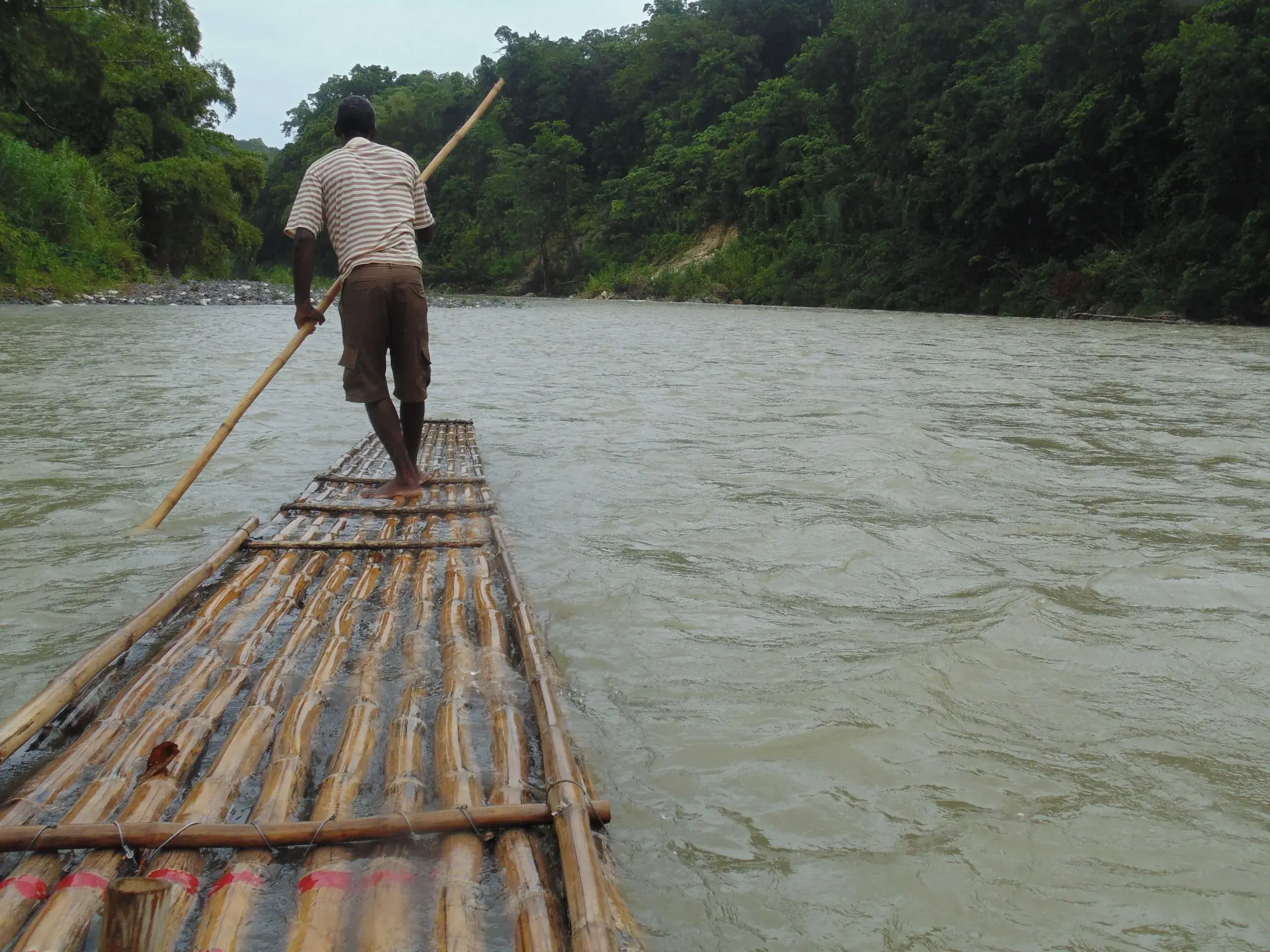 YS Falls et safari sur la Black River