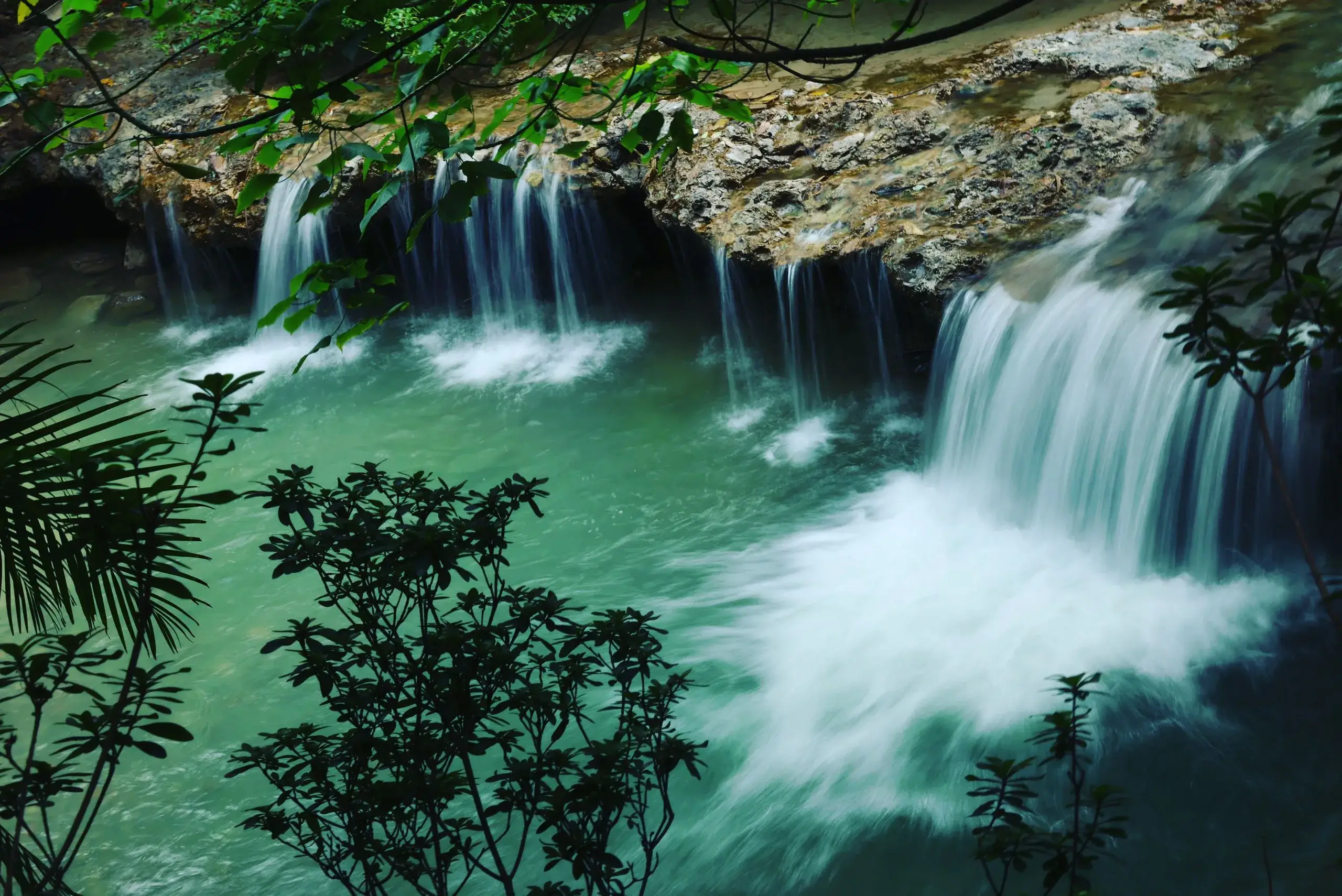 YS Falls & Black River