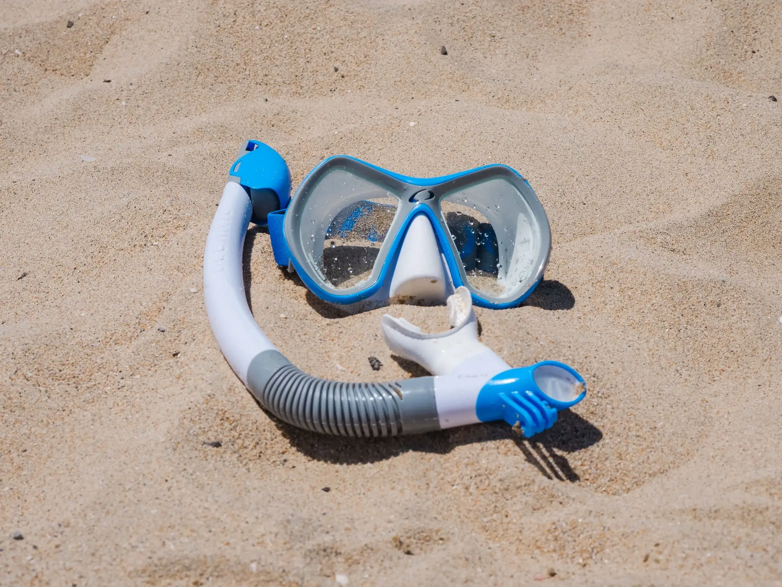 North Coast Catamaran & Snorkel