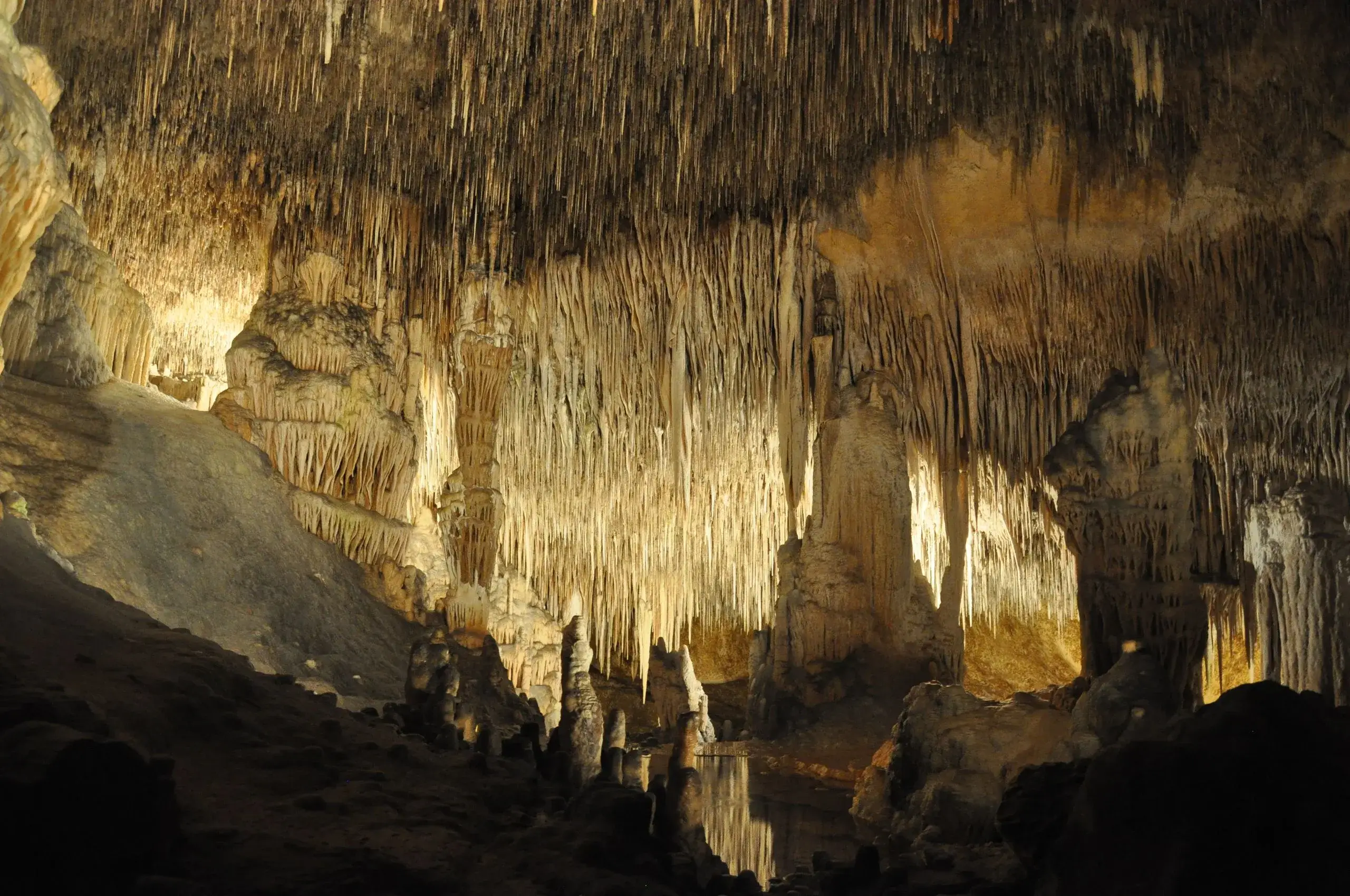 Green Grotto Caves Tour