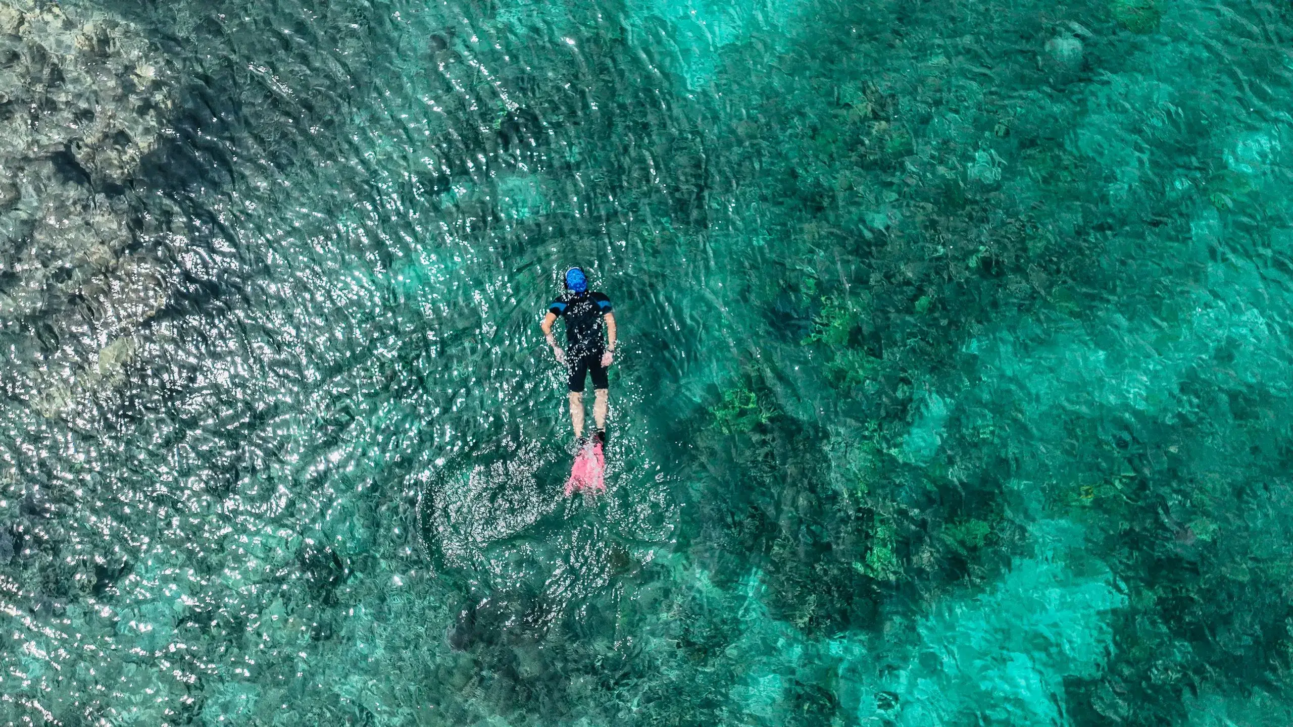 Reef Snorkel & Sailing