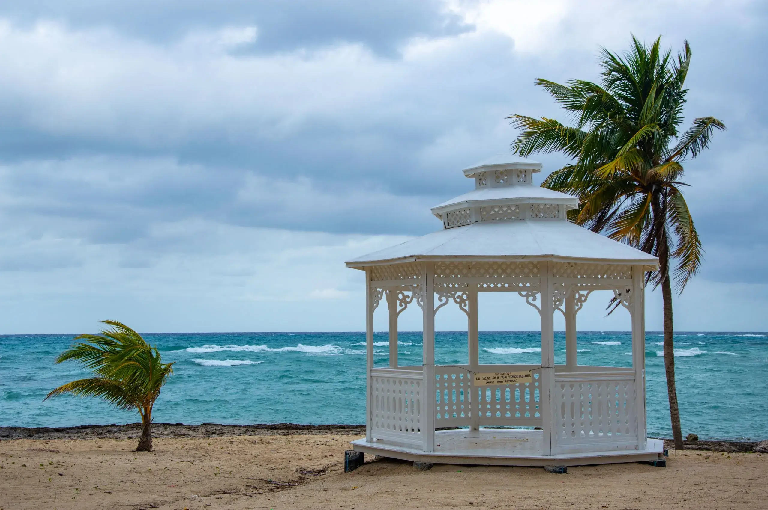 White gazebo and palm trees on a beach at Runaway Bay