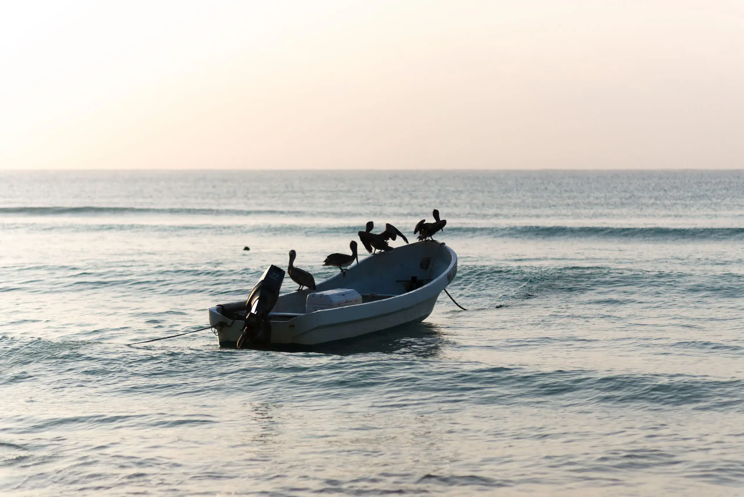 Floyd's Pelican Bar