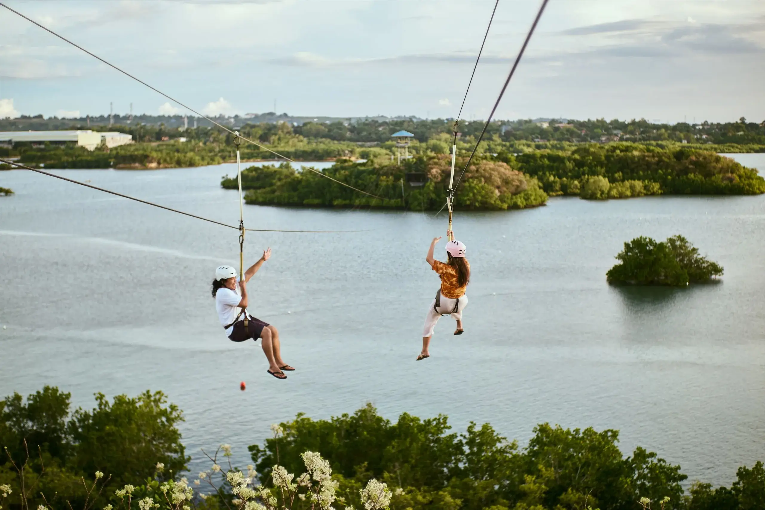 YS Falls & Zipline