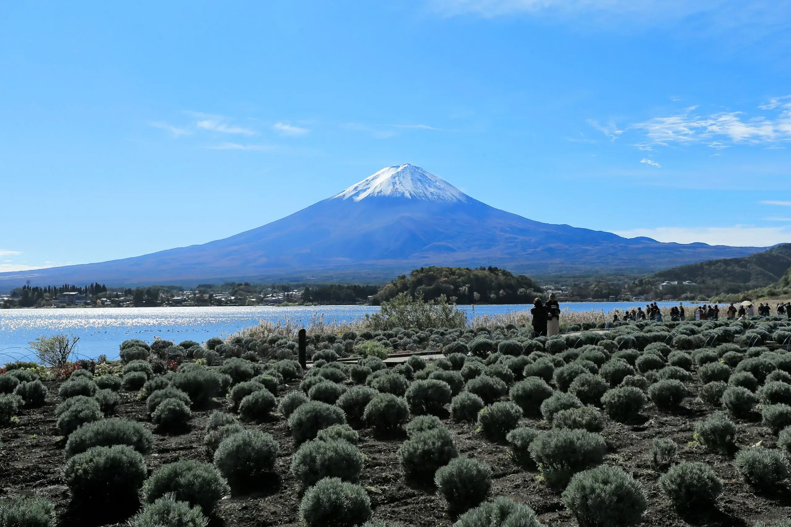 Mt Fuji & Lake Kawaguchi