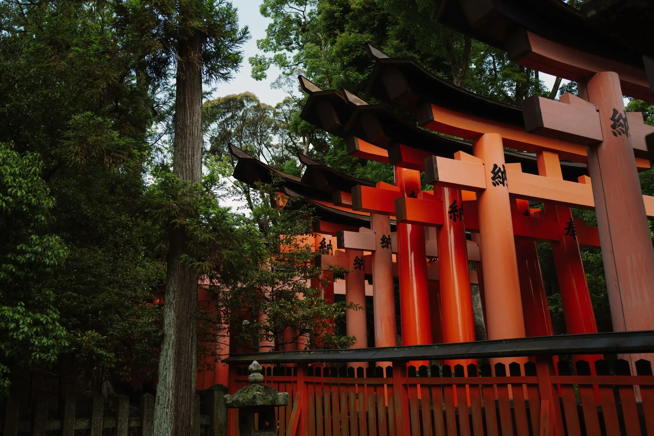 Fushimi Inari et dégustation de thé à Uji