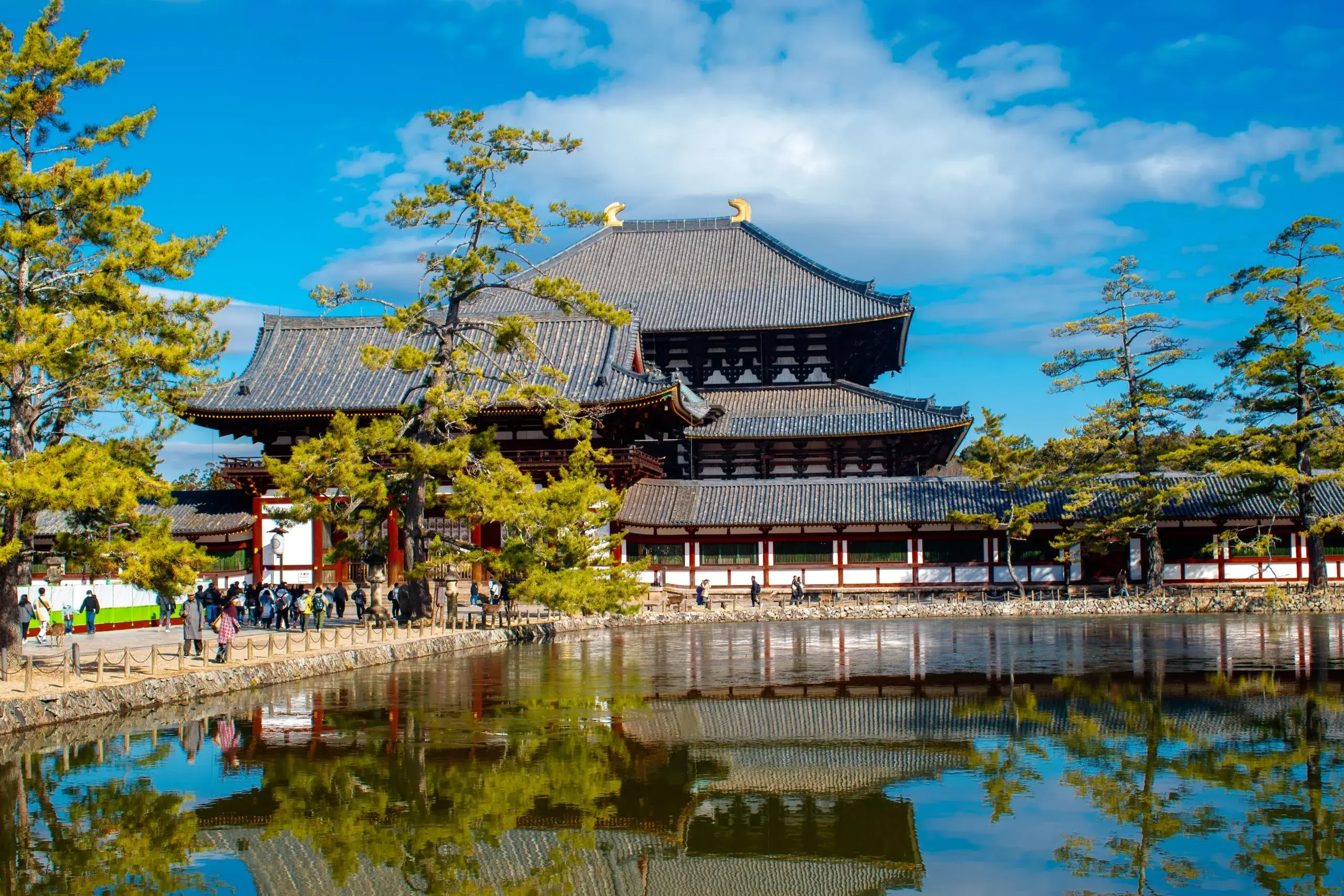 Parc aux cerfs de Nara et Todai-ji