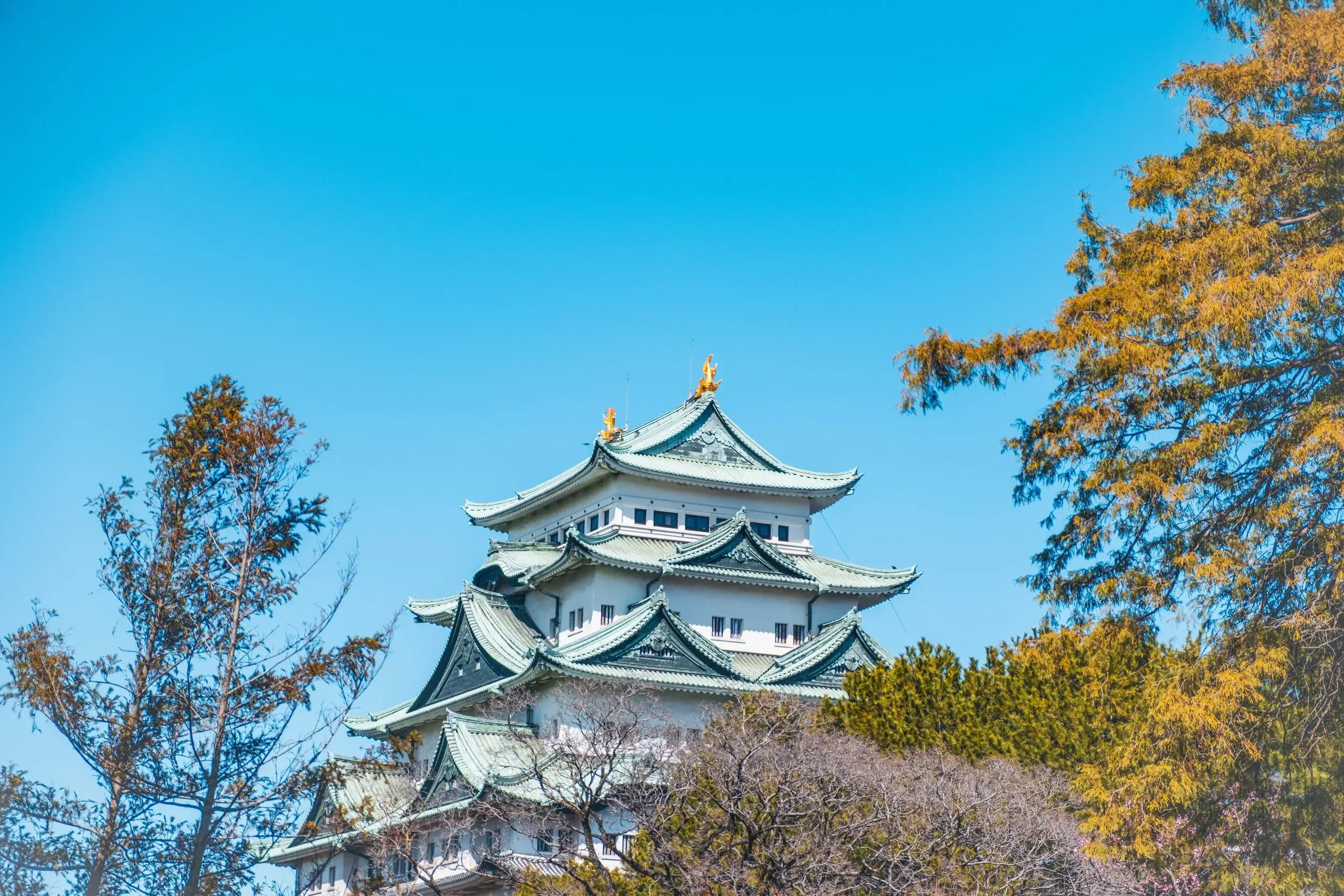 Château de Nagoya