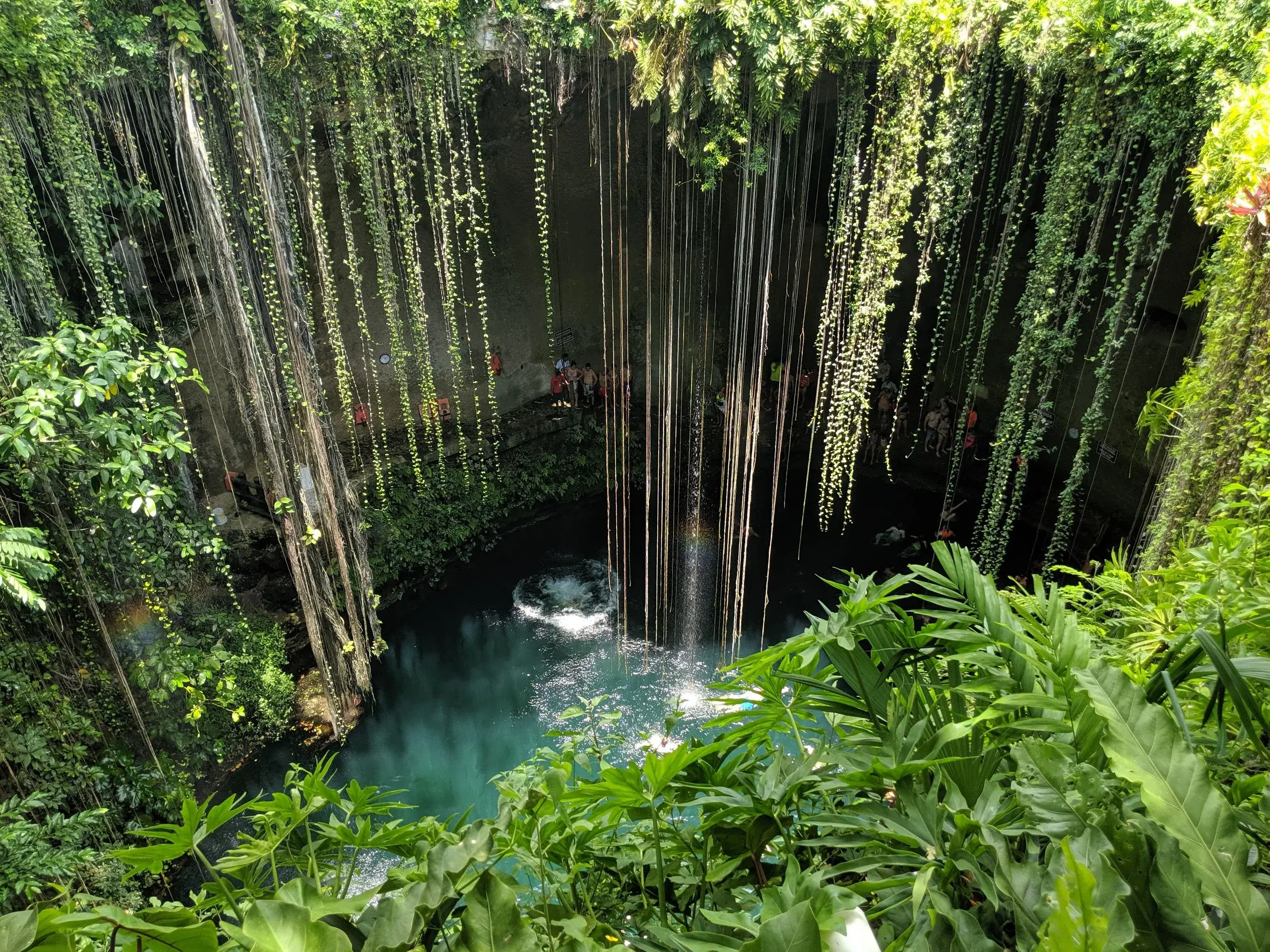 Cénotes du Yucatán
