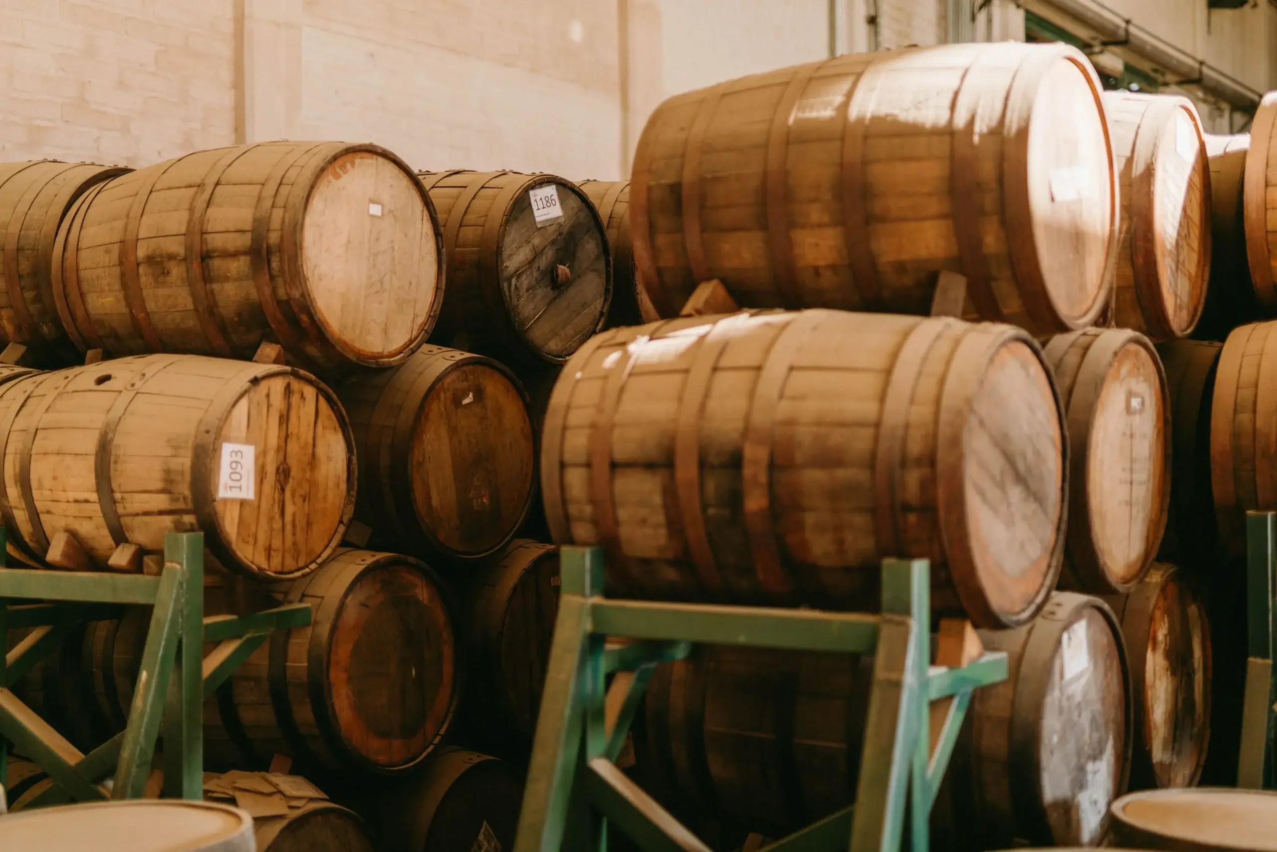 Tequila Town & Distillery Tour