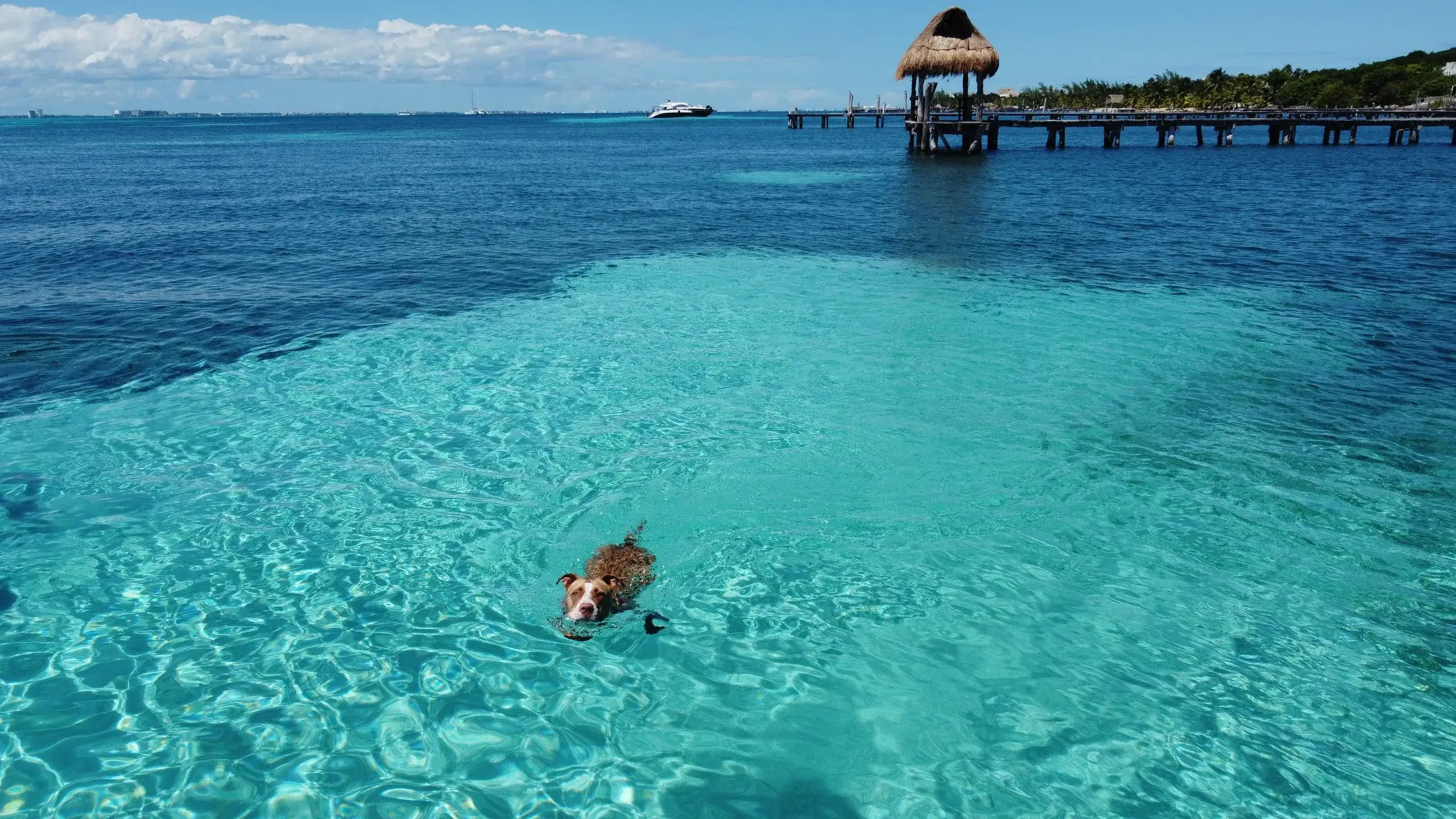 Tres Islas & Yalahau Spring
