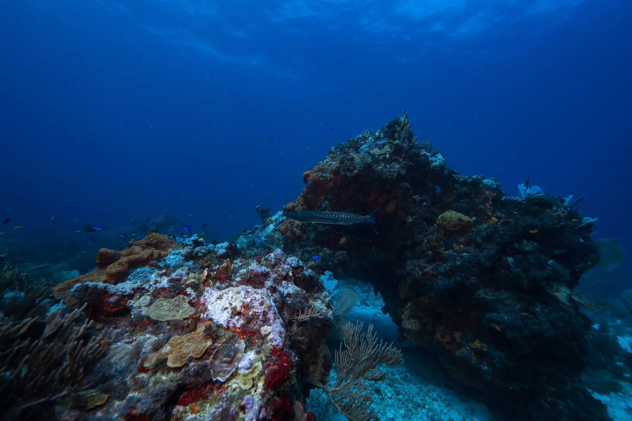 MUSA Underwater Museum