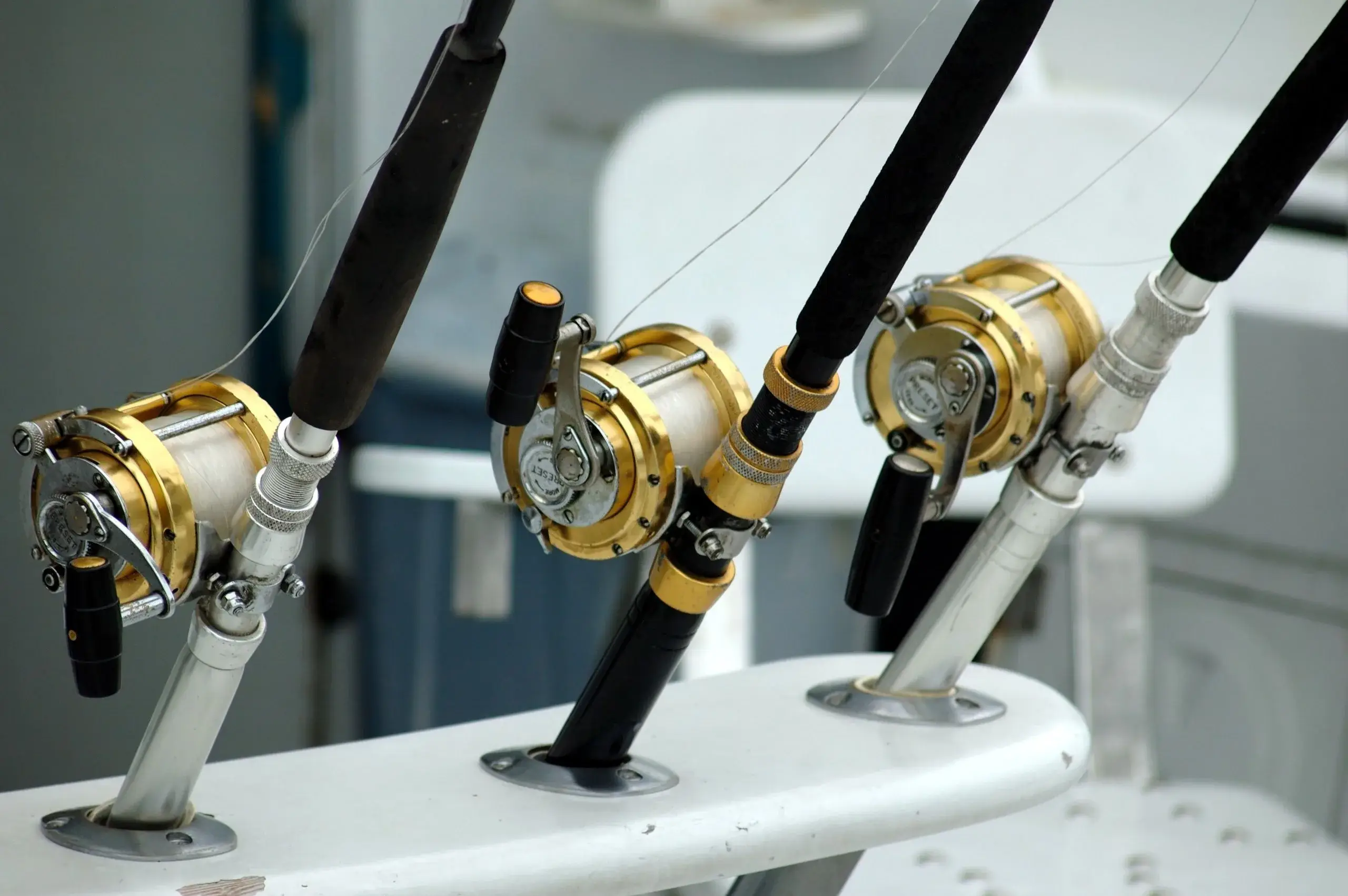 Sailfish Sport Fishing Charter