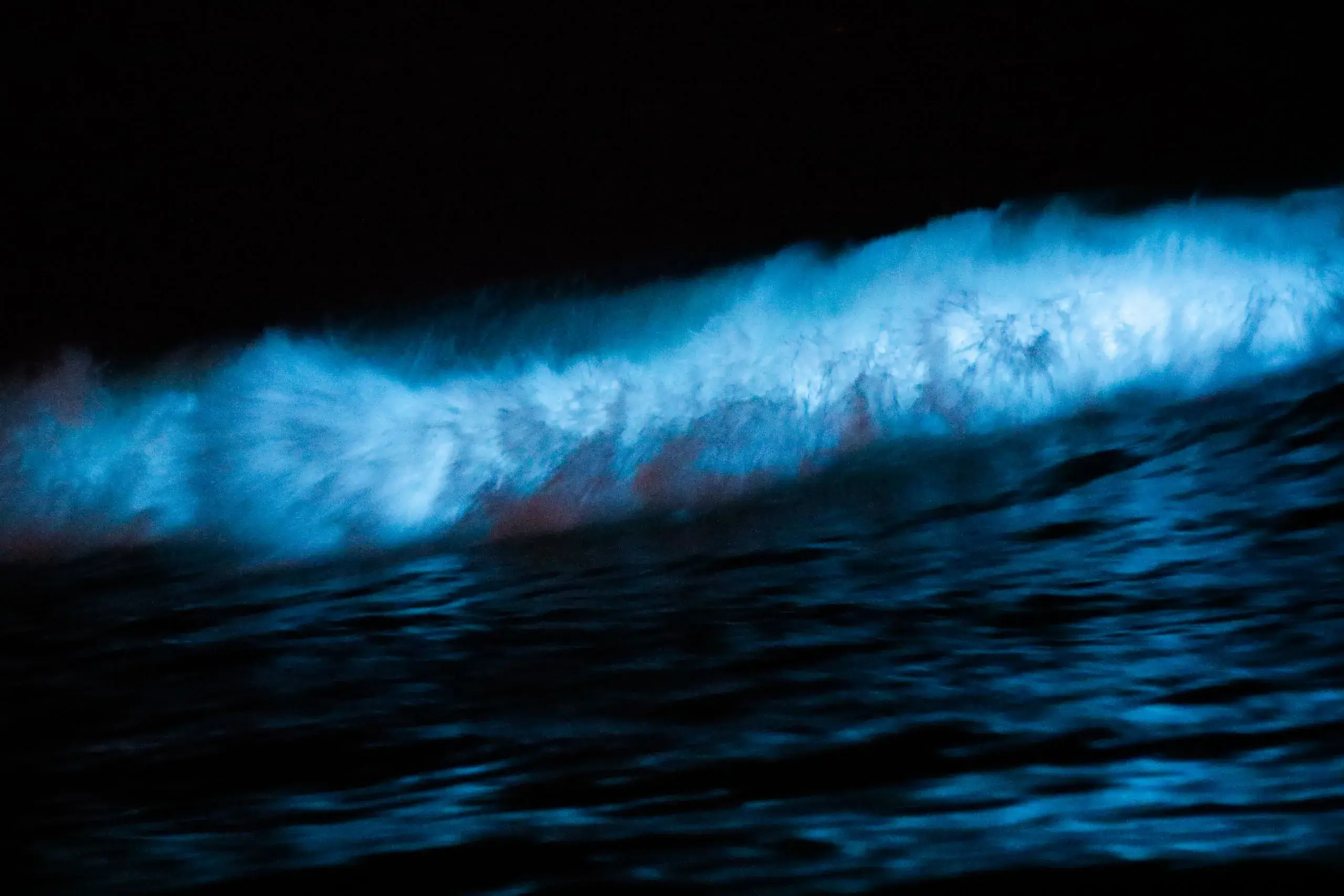 Bioluminescent Lagoon