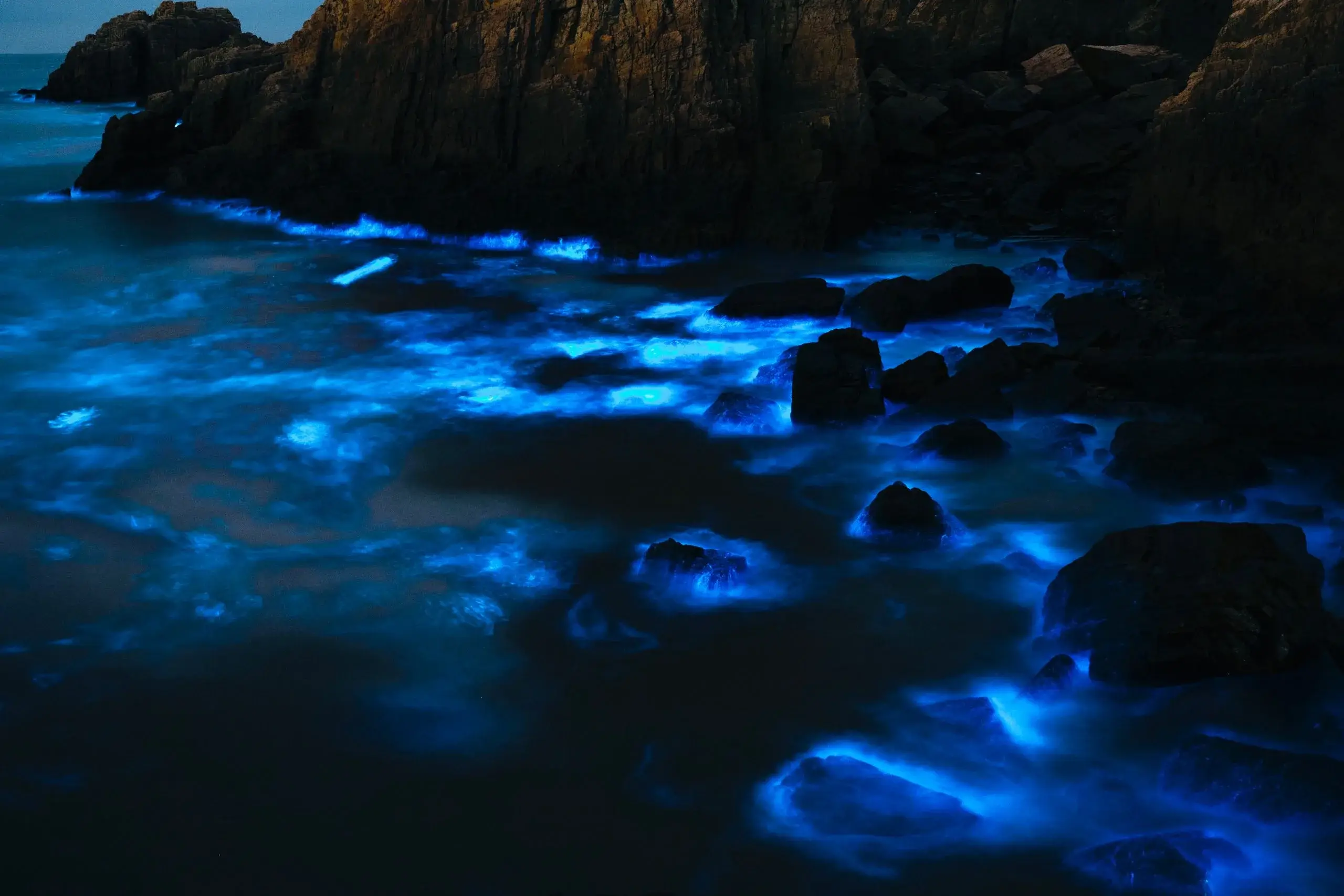 Laguna de Manialtepec Bioluminescence
