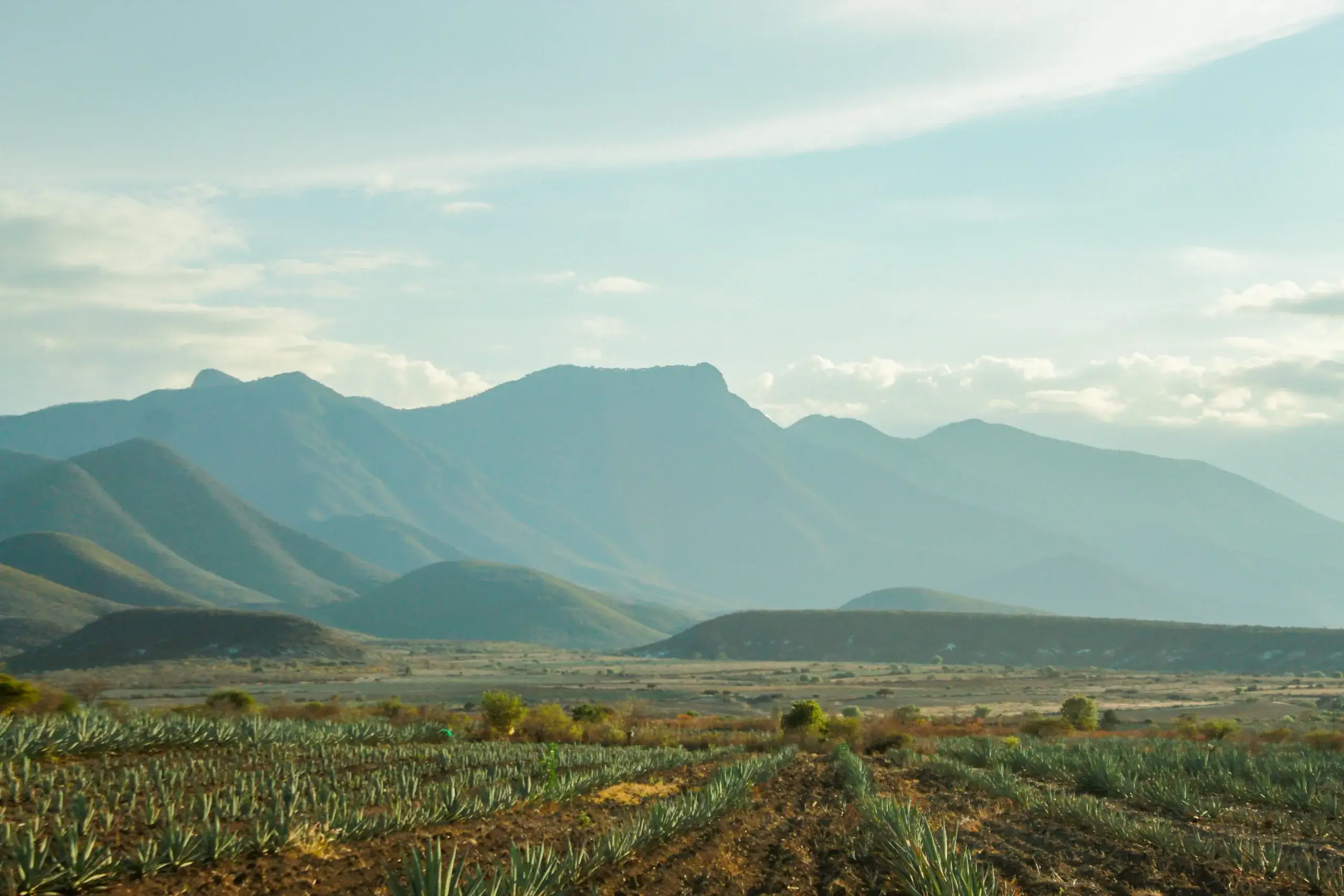 Sierra Madre et tequila