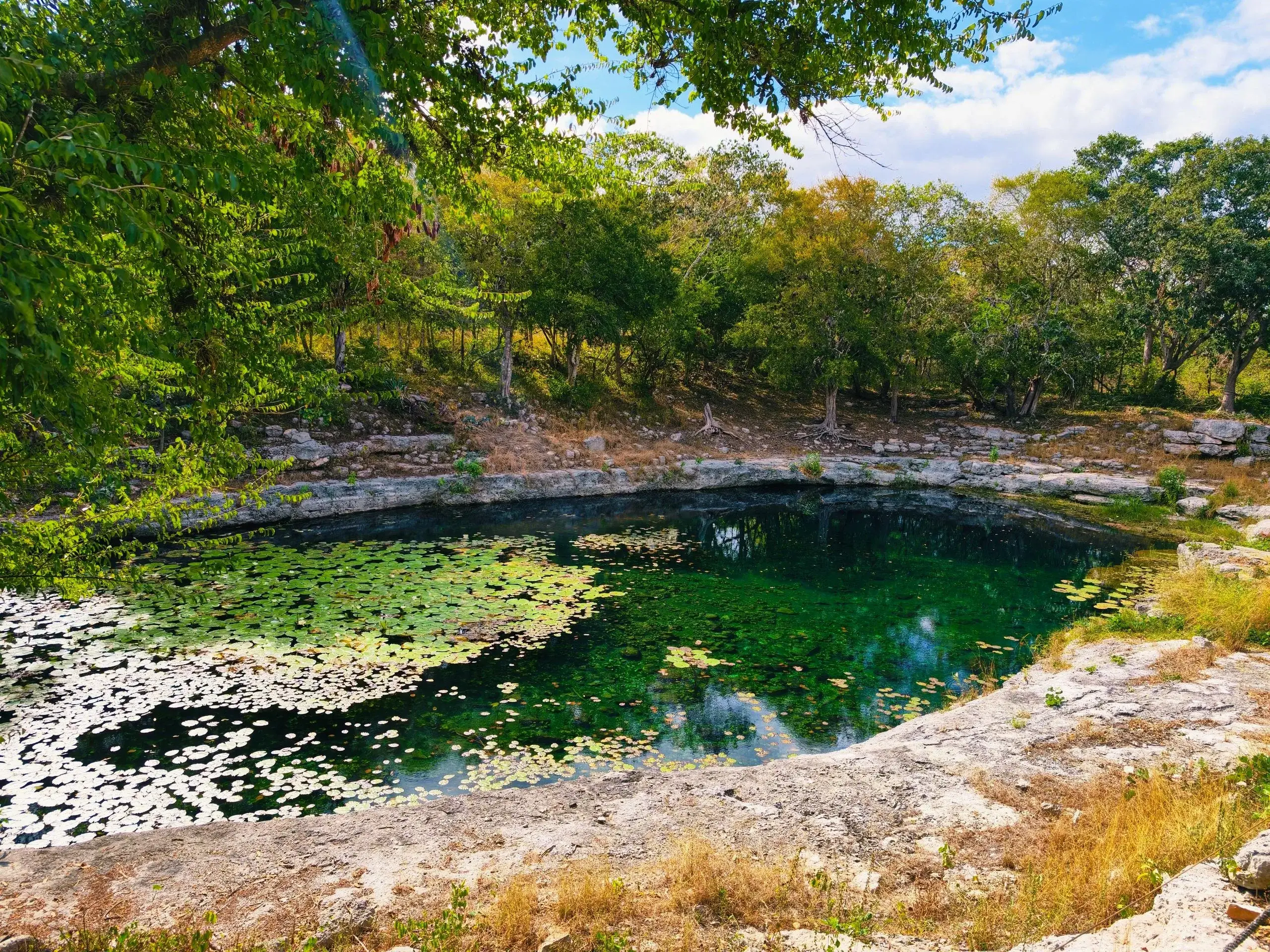Cénotes et rivières souterraines