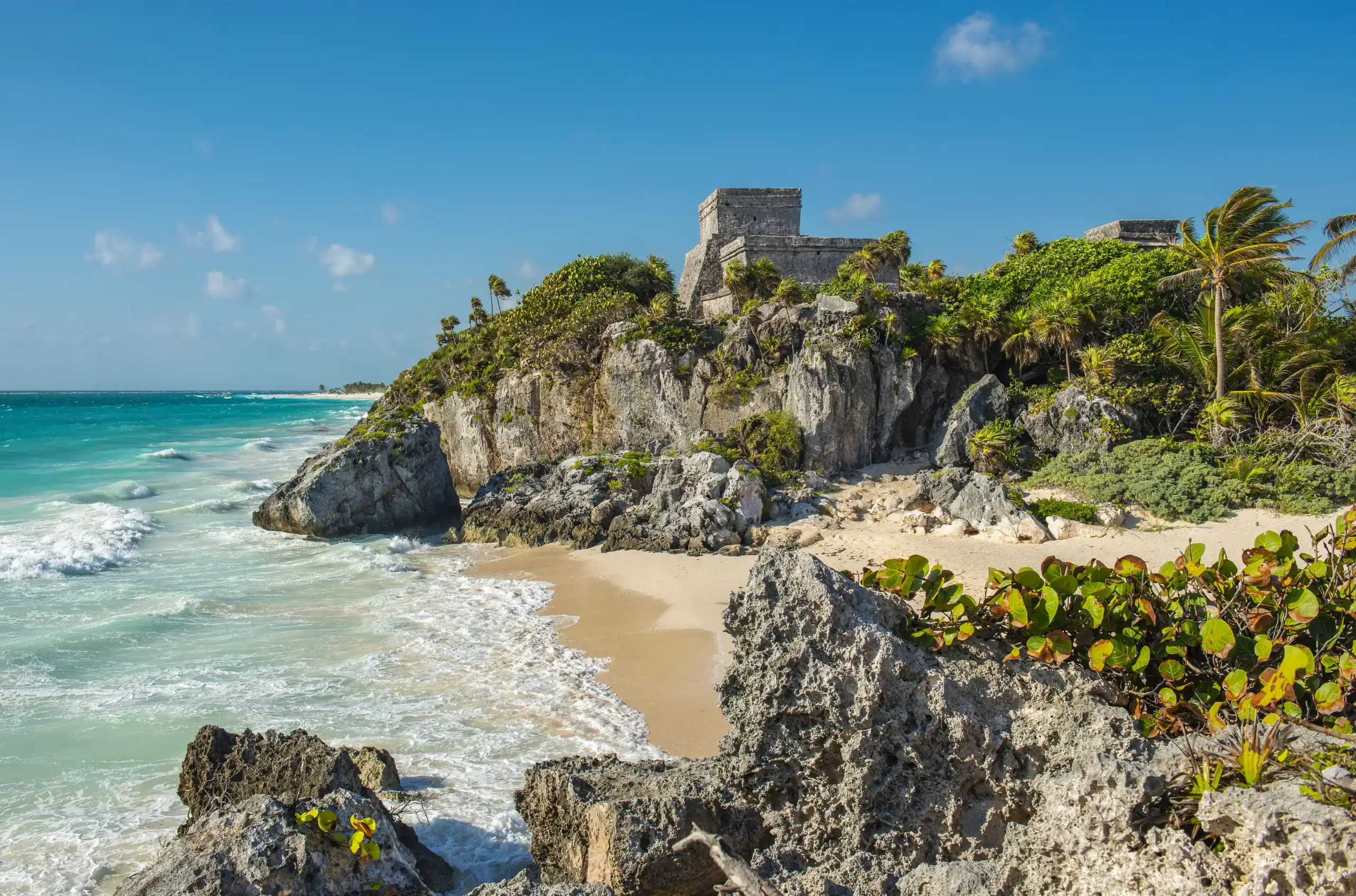 A leaning palm on a limestone cliff above turquoise Caribbean water, Riviera Maya, Mexico
